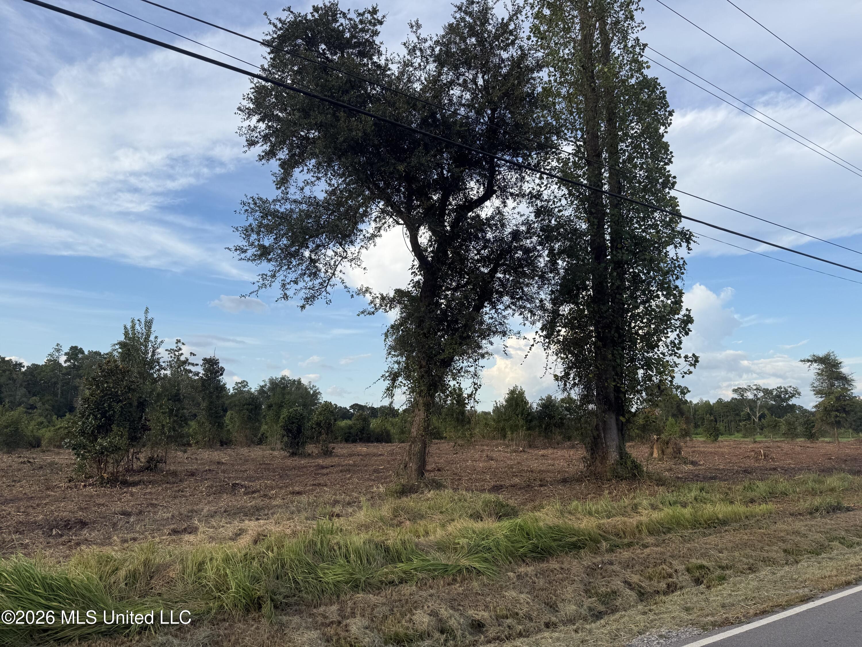 Davis Sawmill Road Property Photo 3
