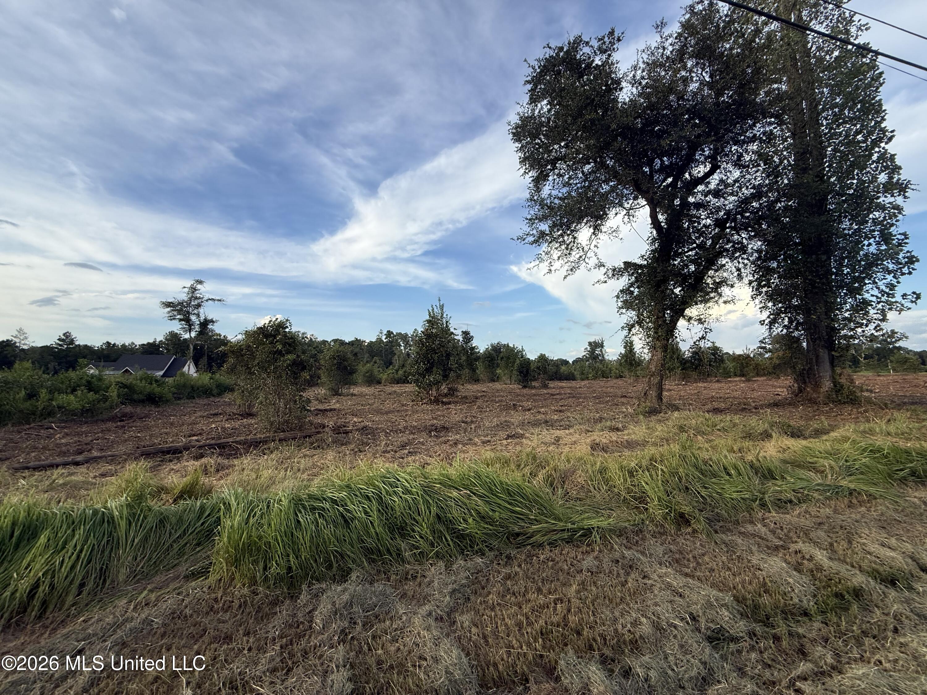 Davis Sawmill Road Property Photo 4