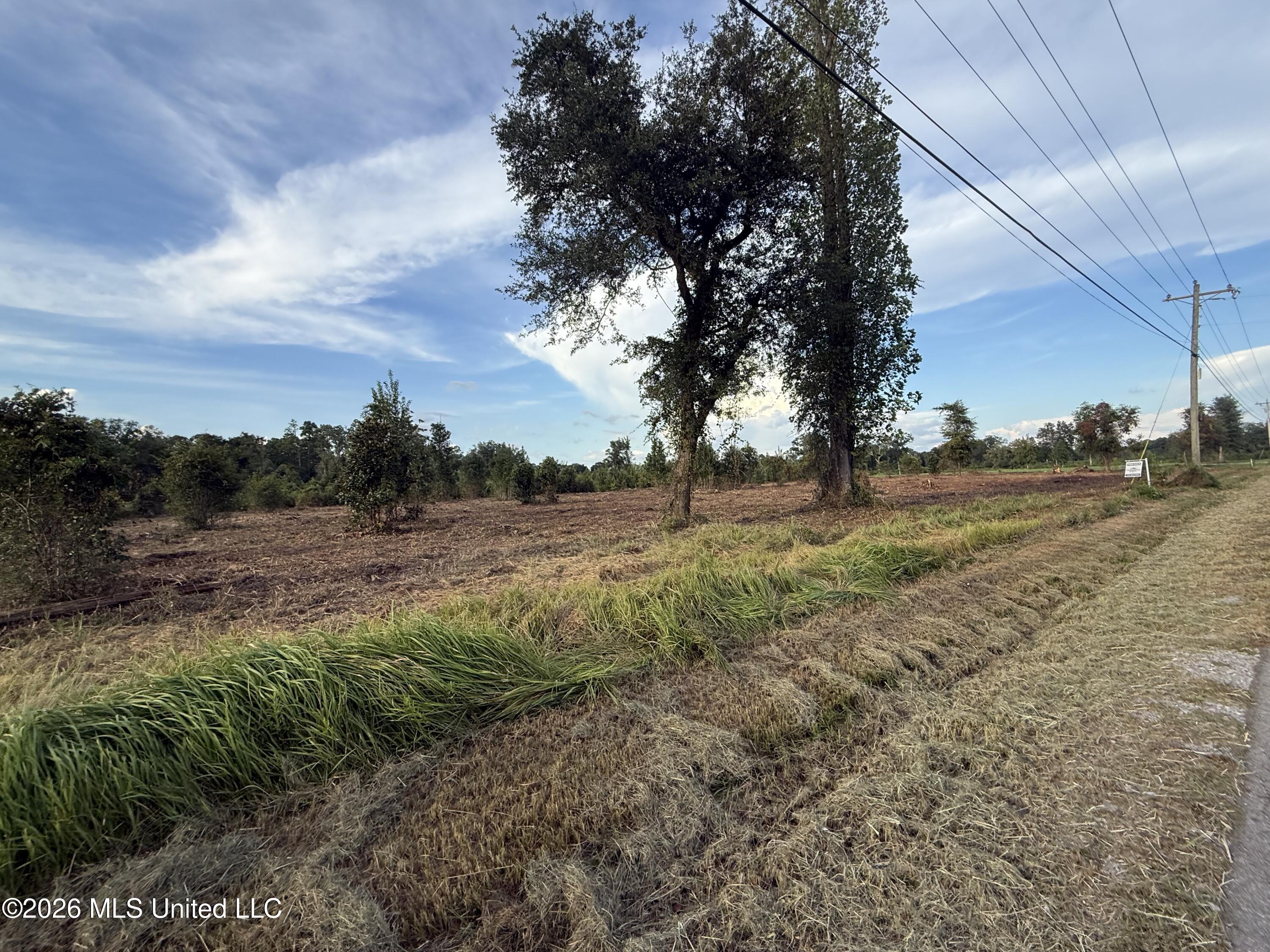 Davis Sawmill Road Property Photo 5