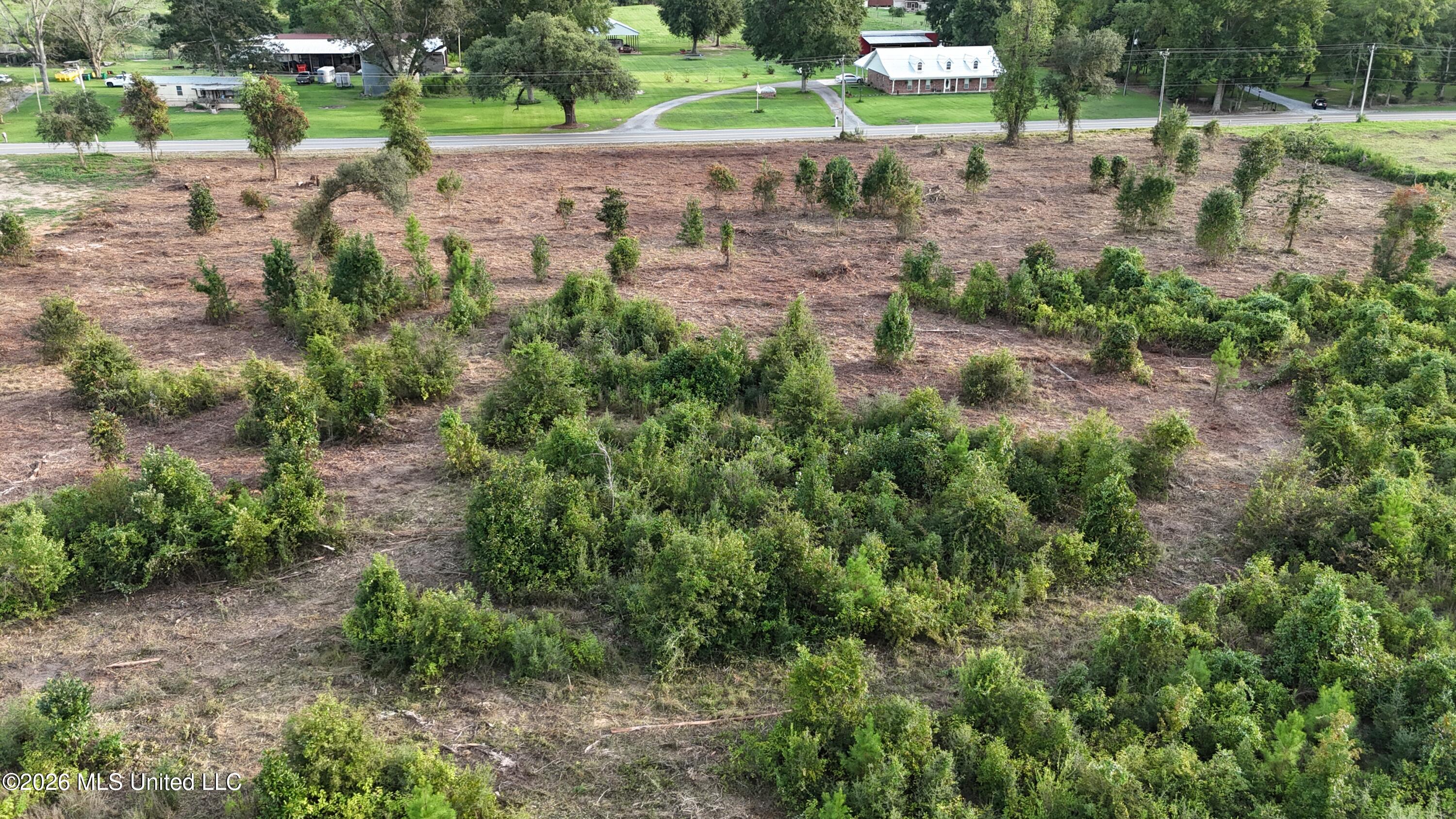Davis Sawmill Road Property Photo 6