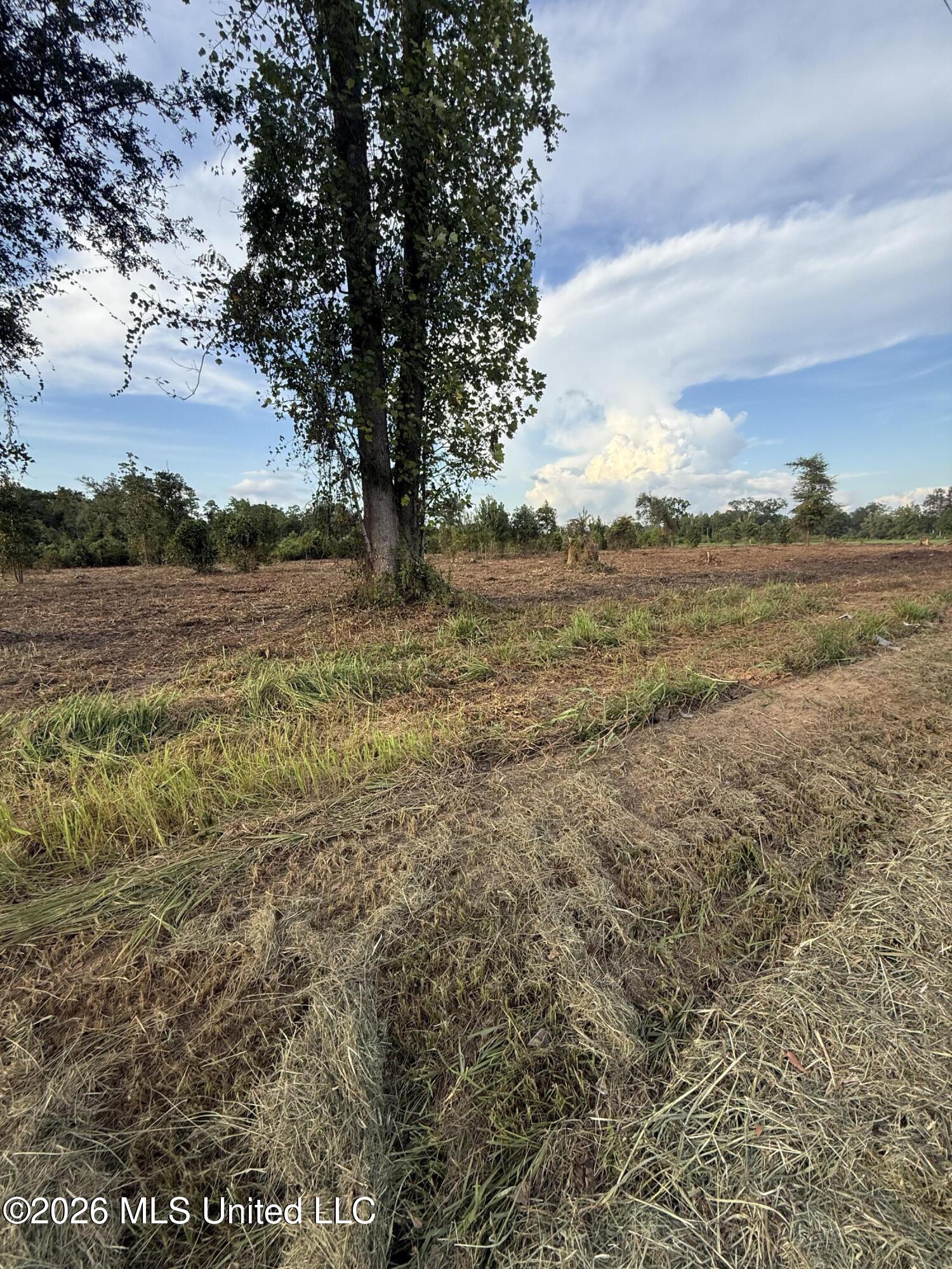 Davis Sawmill Road Property Photo 12