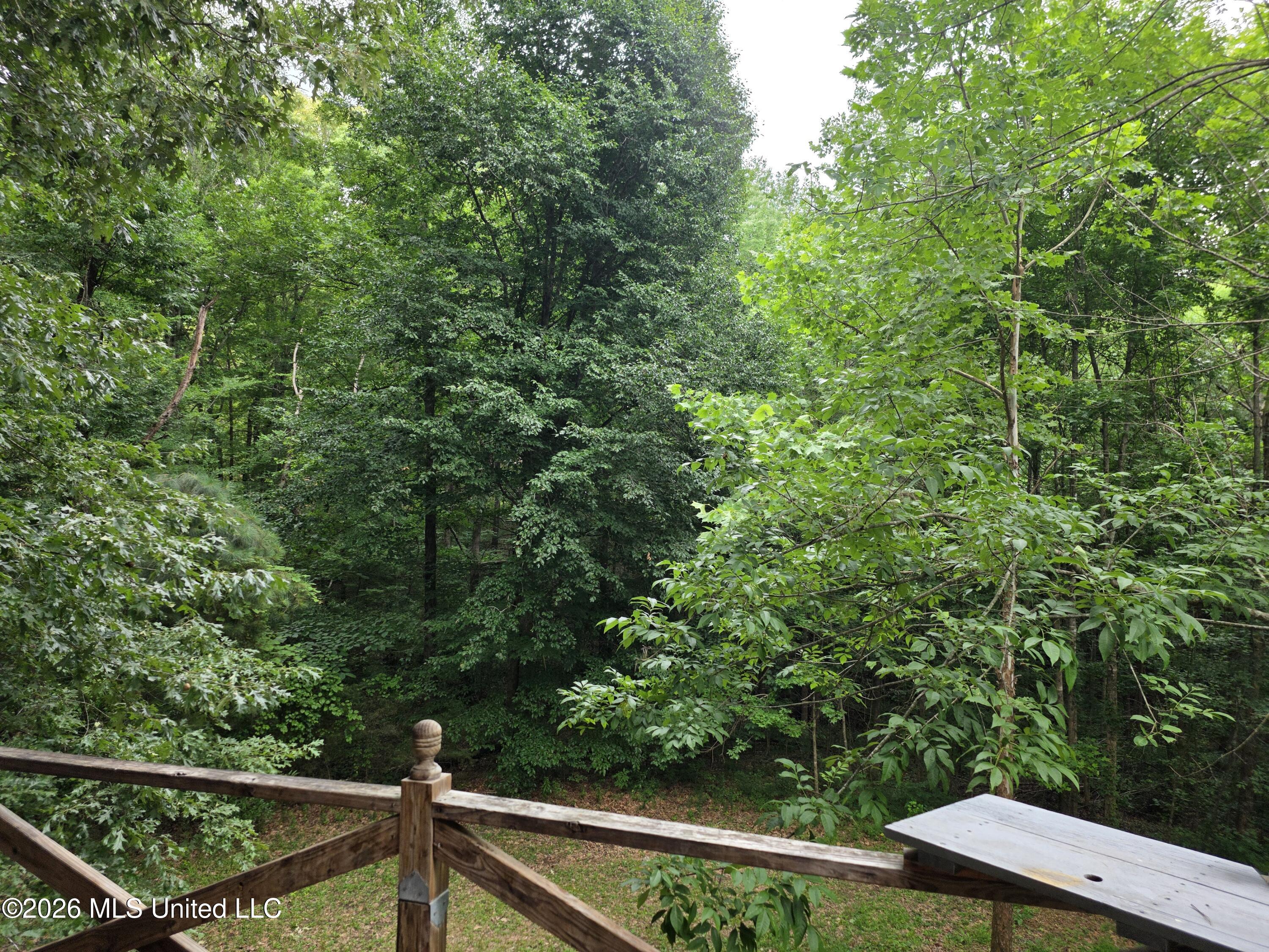 2025 Hendrix Road Property Photo 24