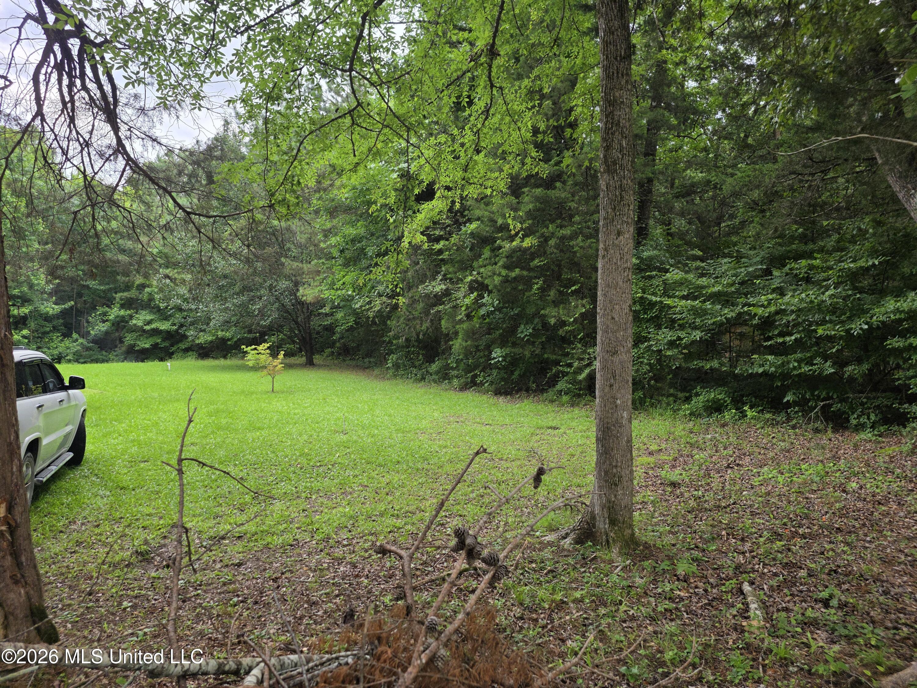 2025 Hendrix Road Property Photo 28