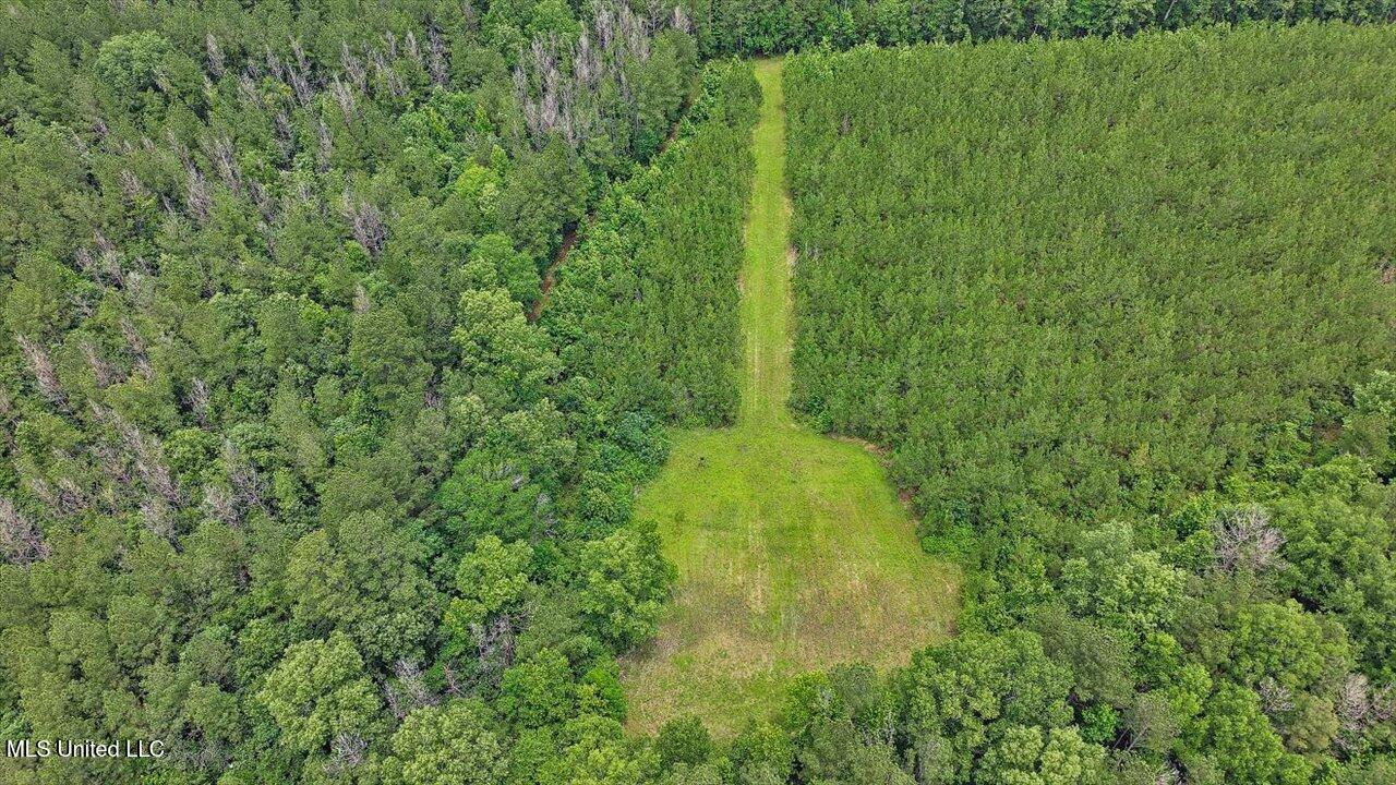 772 Mount Helm Road Property Photo 2