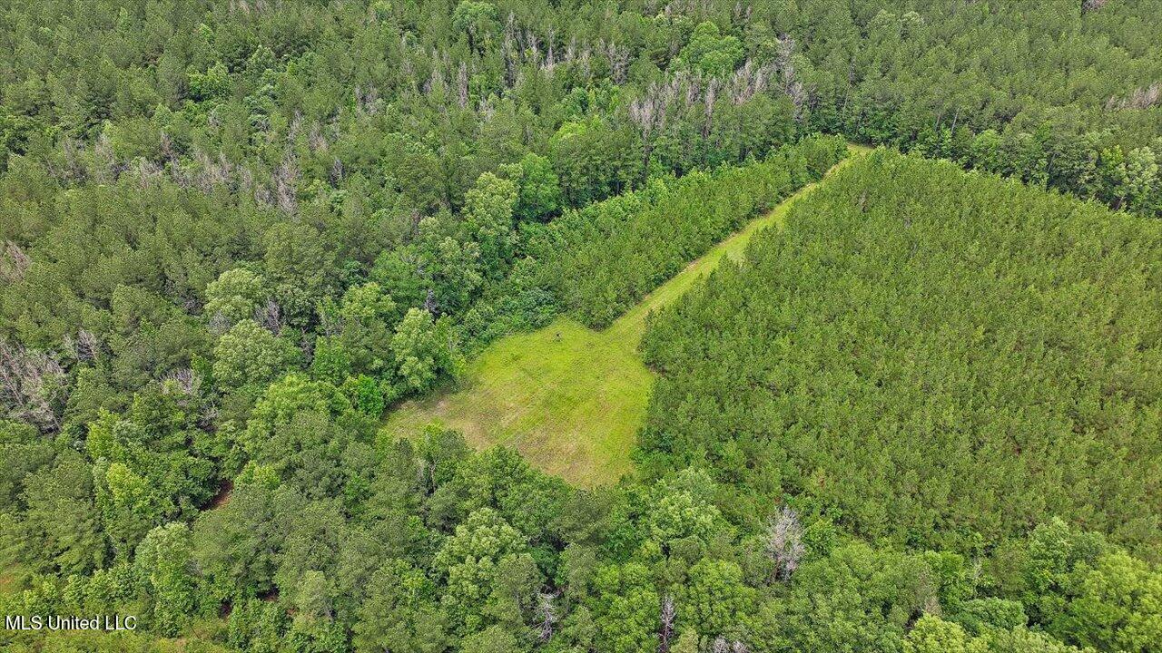 772 Mount Helm Road Property Photo 3