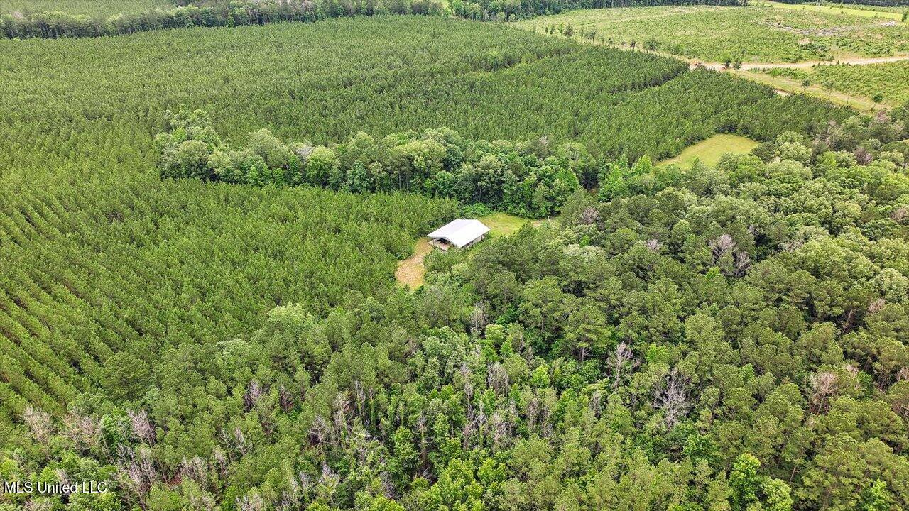 772 Mount Helm Road Property Photo 7