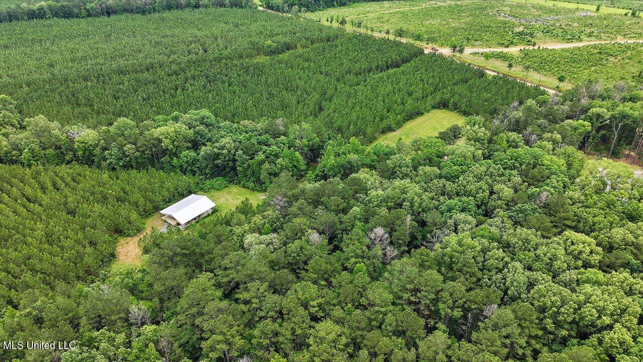772 Mount Helm Road Property Photo 8