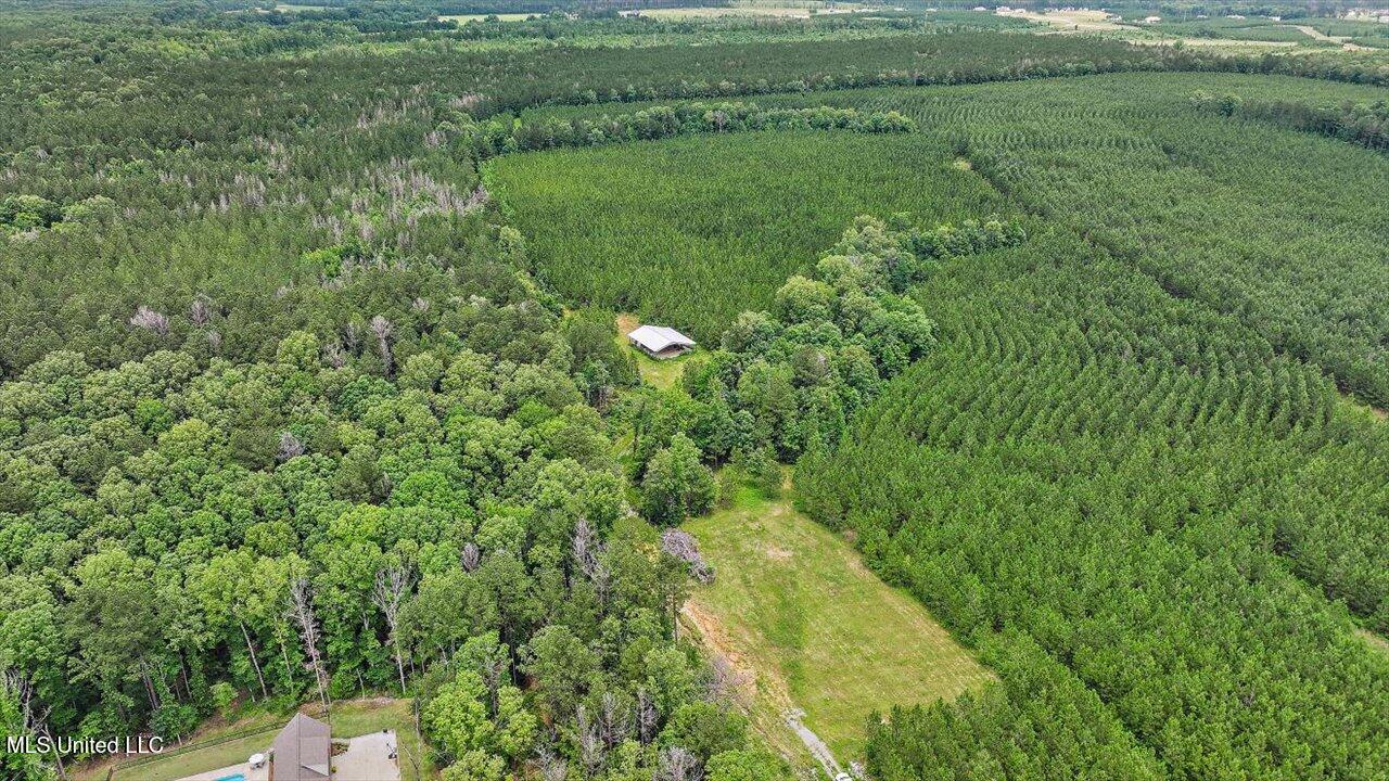 772 Mount Helm Road Property Photo 15