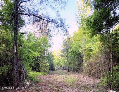 0 Darron Hodge Lane Property Photo 1