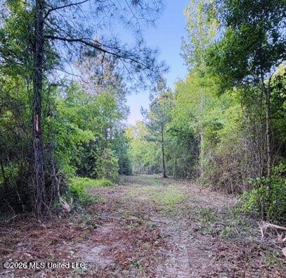 0 Darron Hodge Lane Property Photo 2