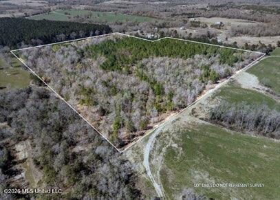 0 Darron Hodge Lane Property Photo 6