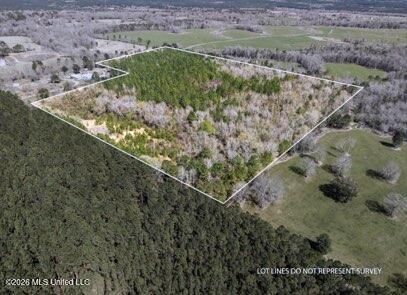 0 Darron Hodge Lane Property Photo 7