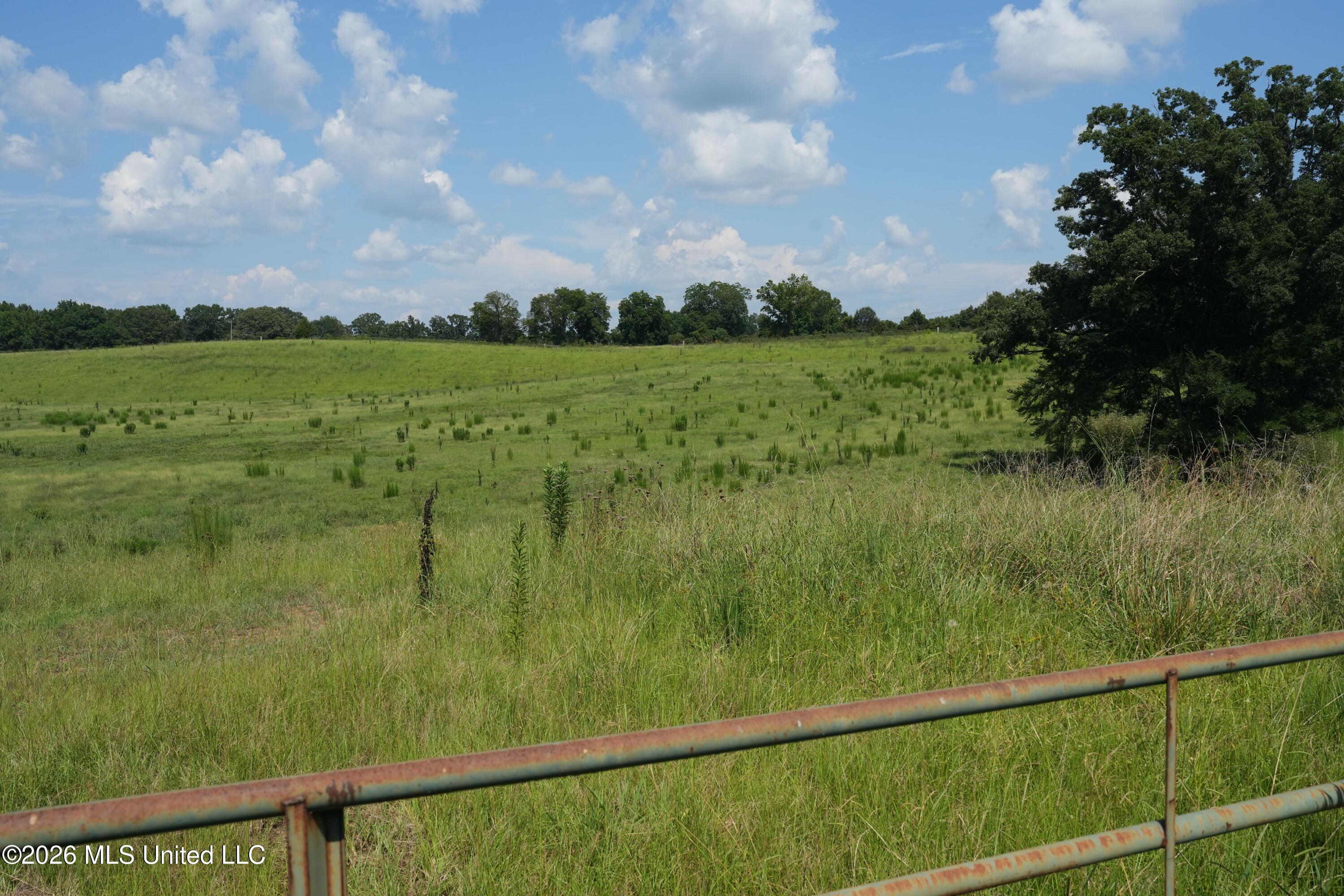 112 Old Hwy 13 Property Photo 24