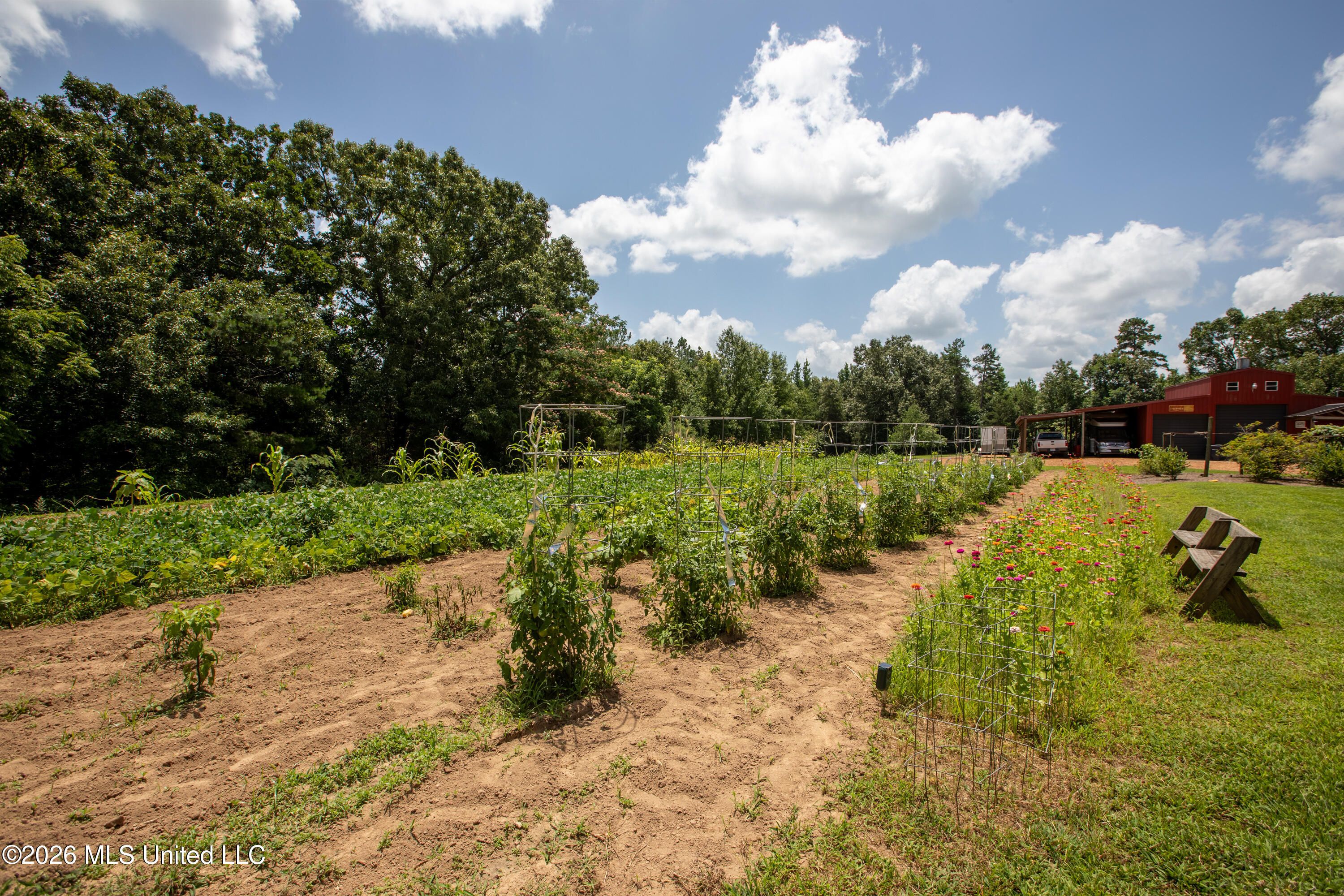 828 Little Egypt Road Property Photo 47