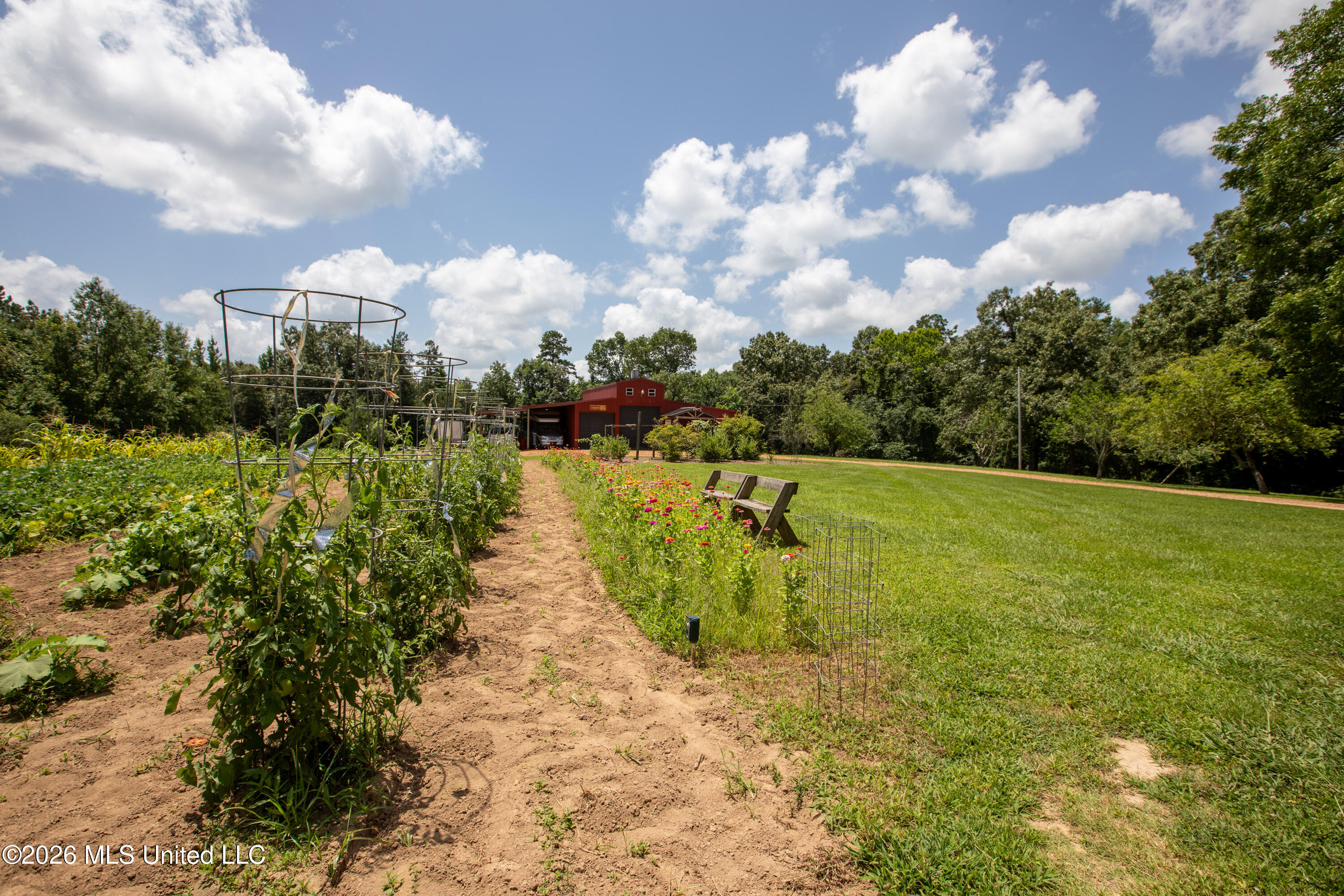 828 Little Egypt Road Property Photo 48