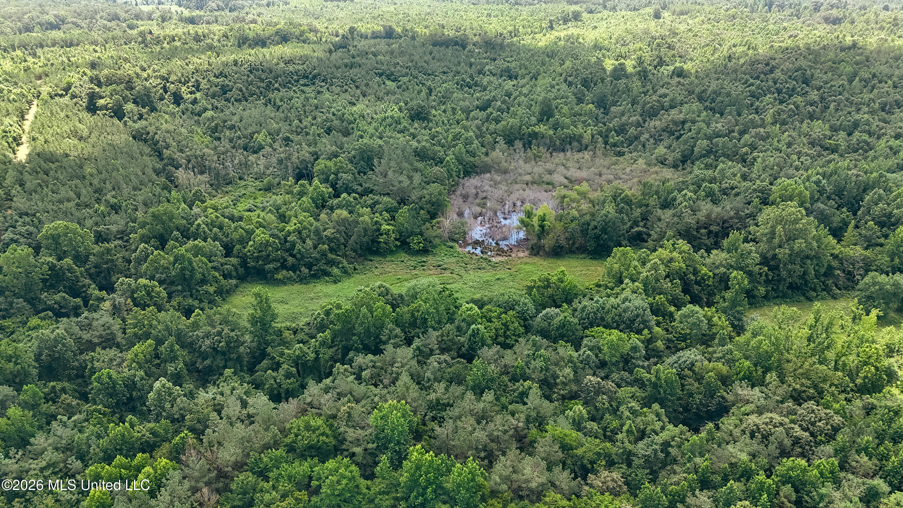 828 Little Egypt Road Property Photo 64