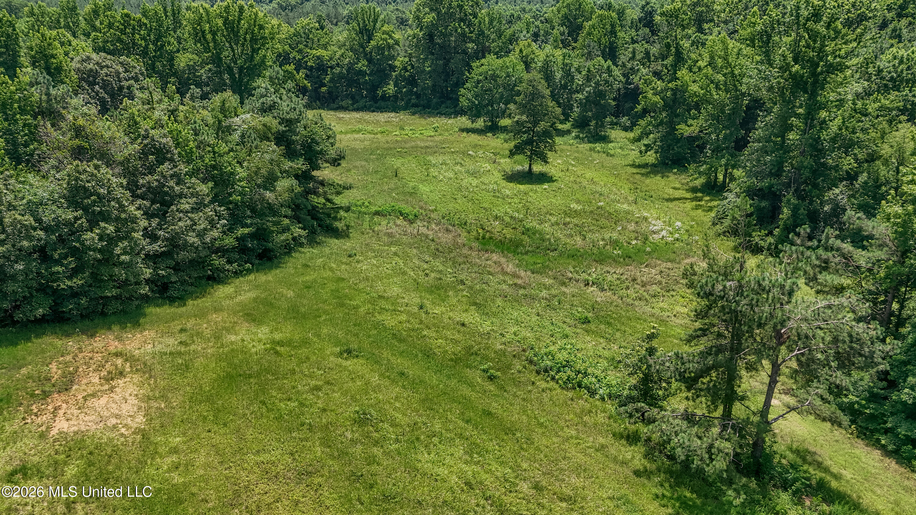 828 Little Egypt Road Property Photo 79