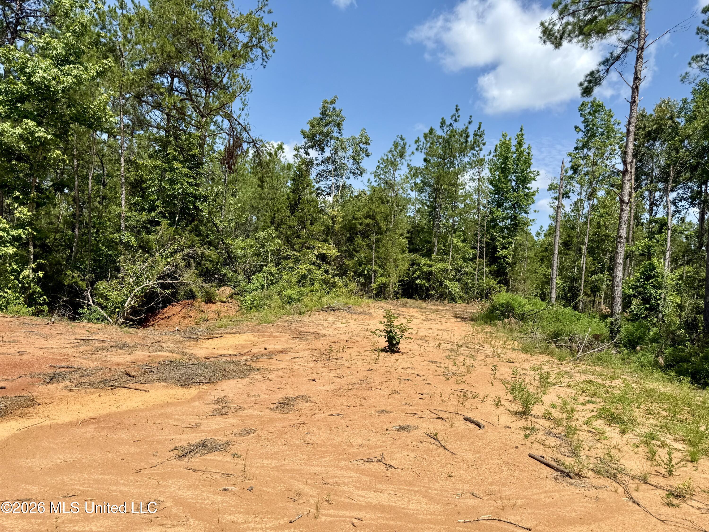 828 Little Egypt Road Property Photo 83