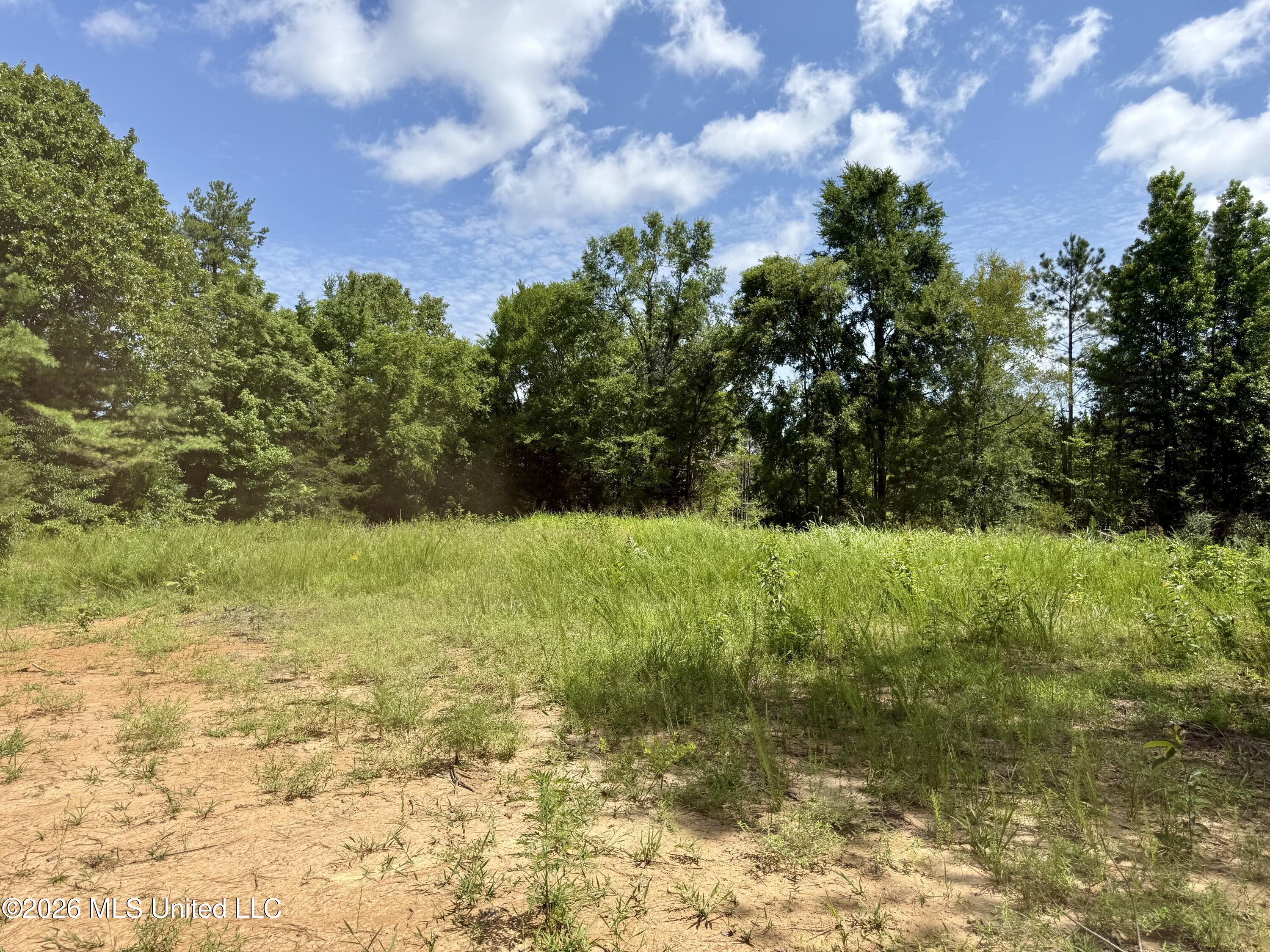 828 Little Egypt Road Property Photo 84
