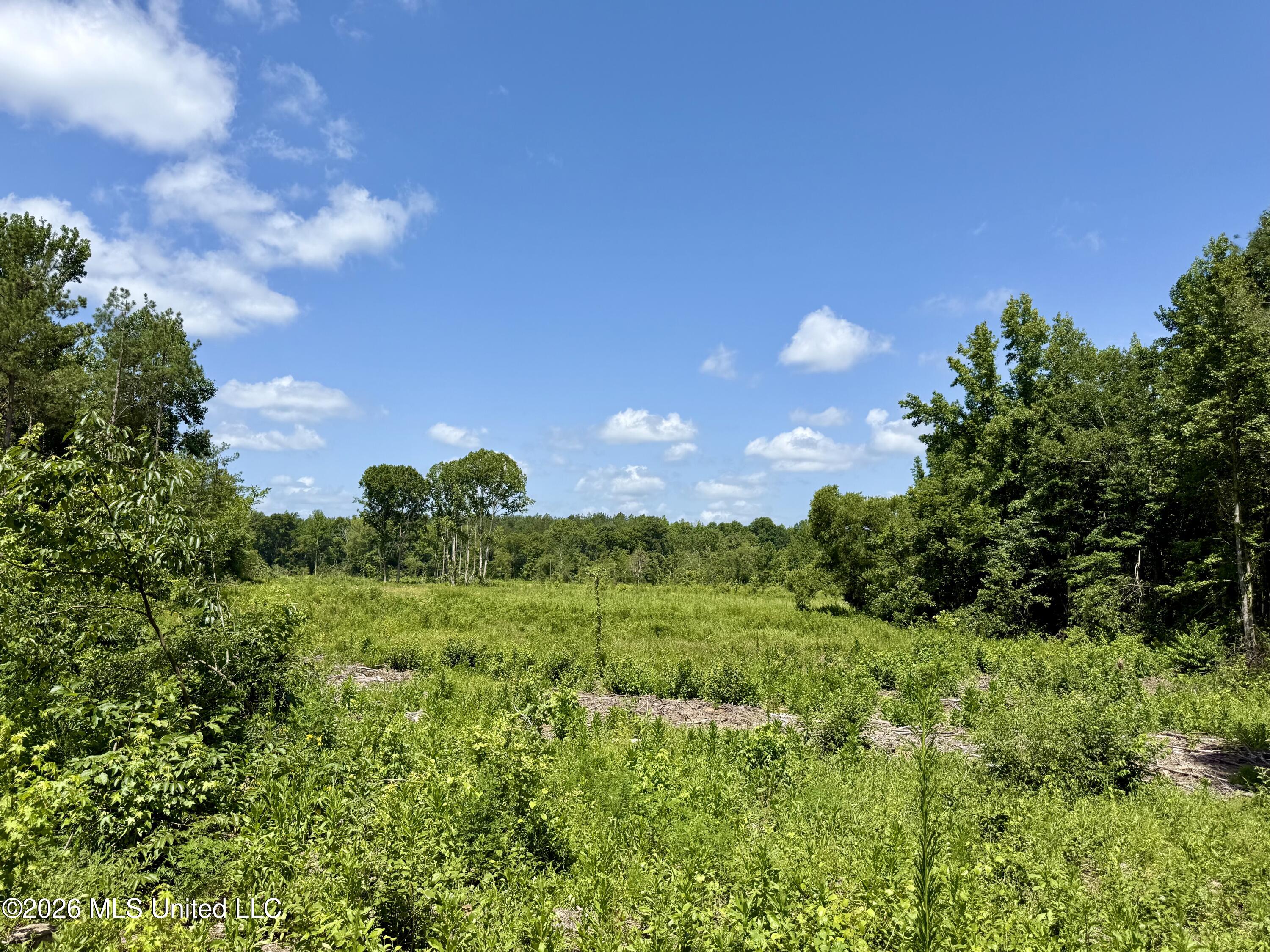 828 Little Egypt Road Property Photo 85