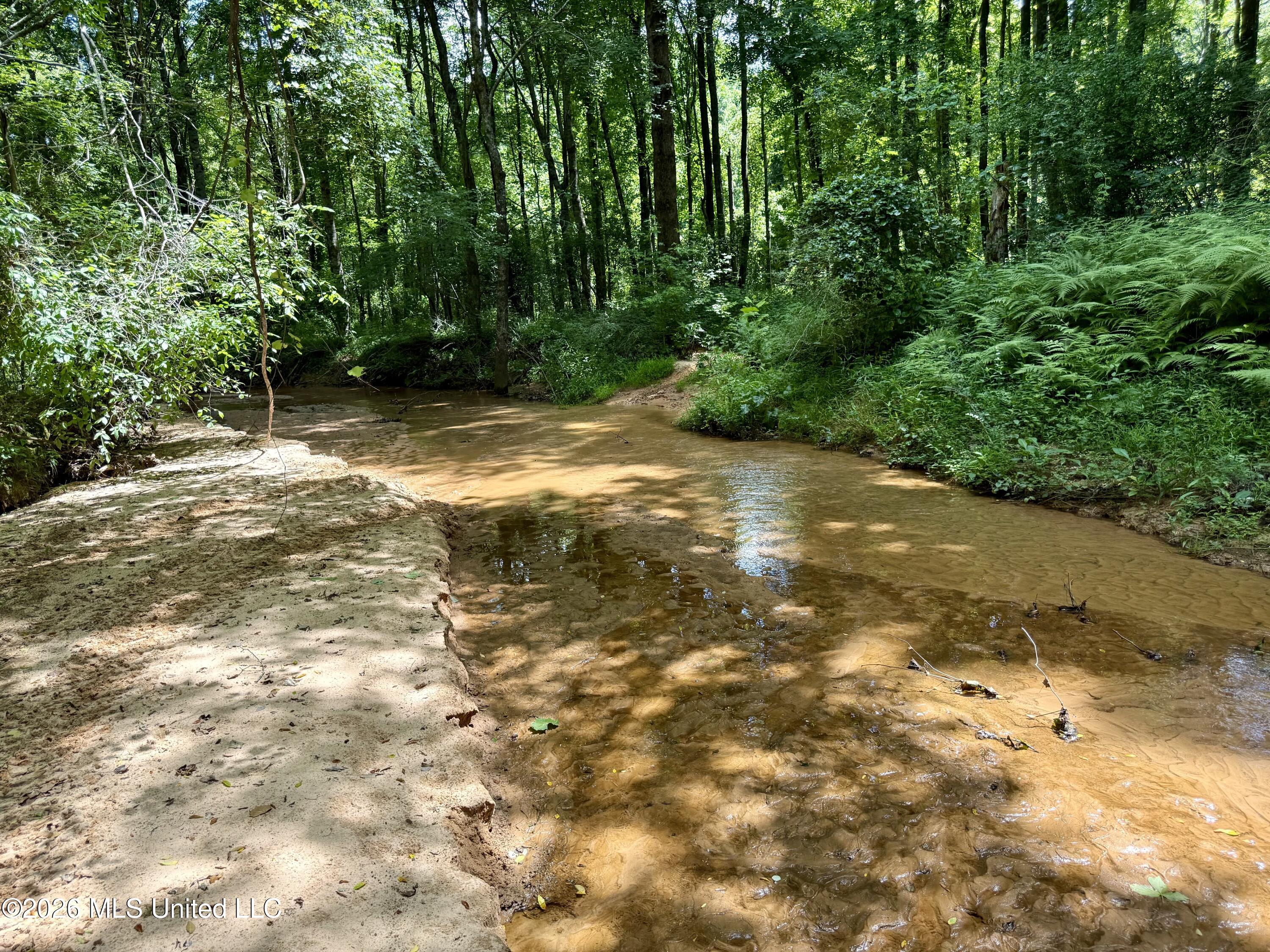 828 Little Egypt Road Property Photo 86