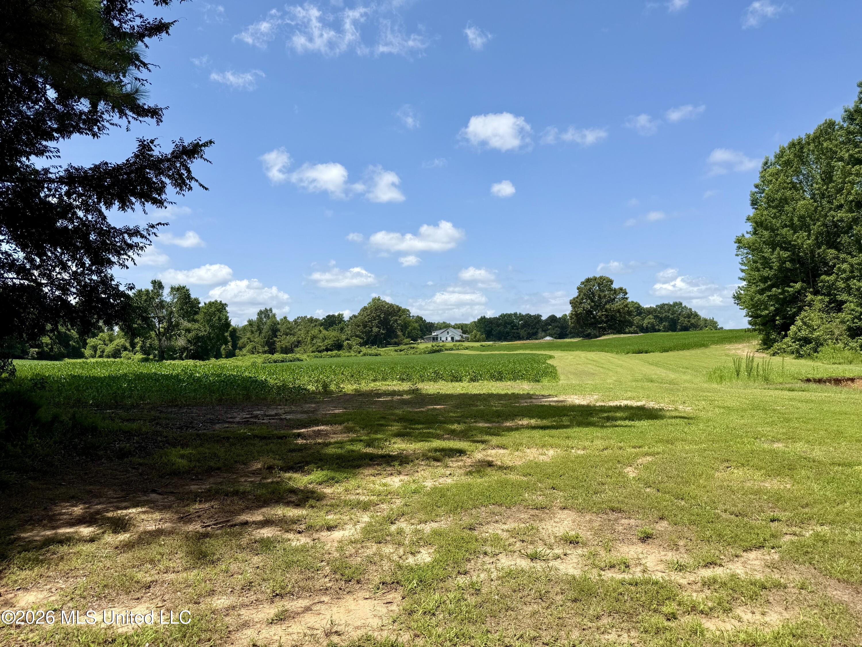 828 Little Egypt Road Property Photo 87