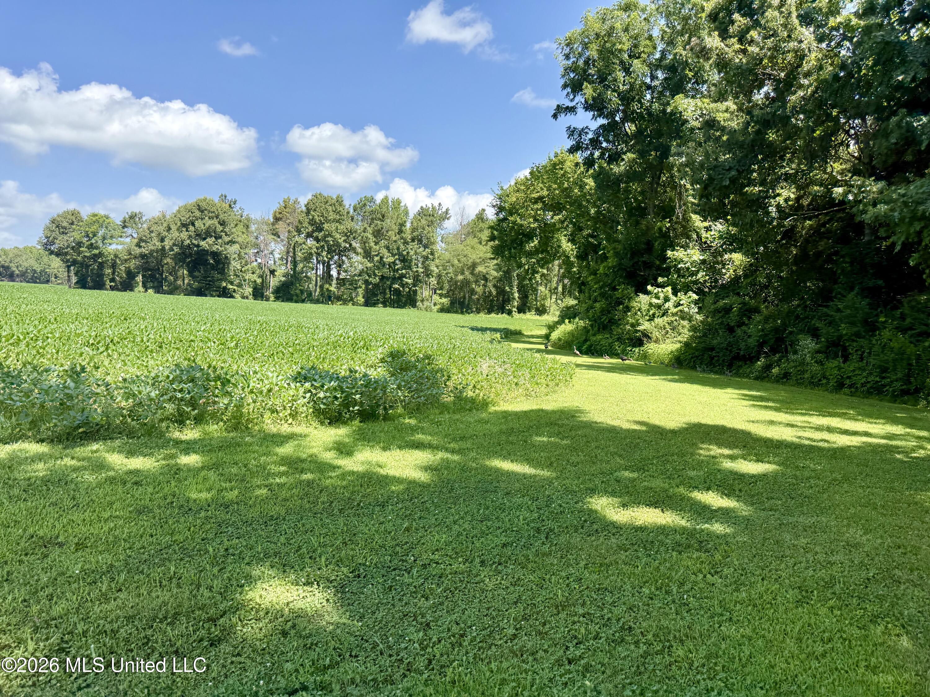 828 Little Egypt Road Property Photo 88