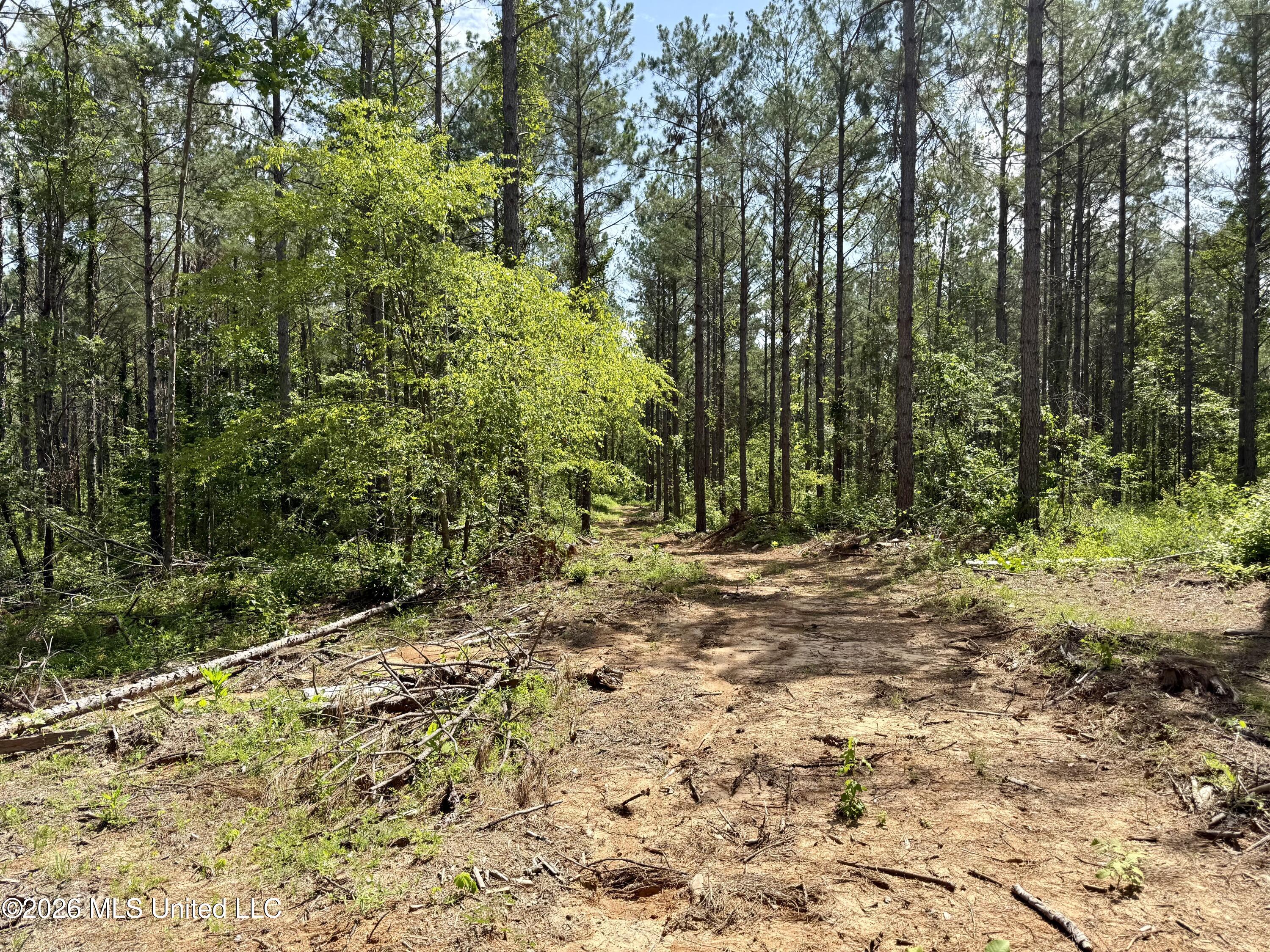 828 Little Egypt Road Property Photo 91