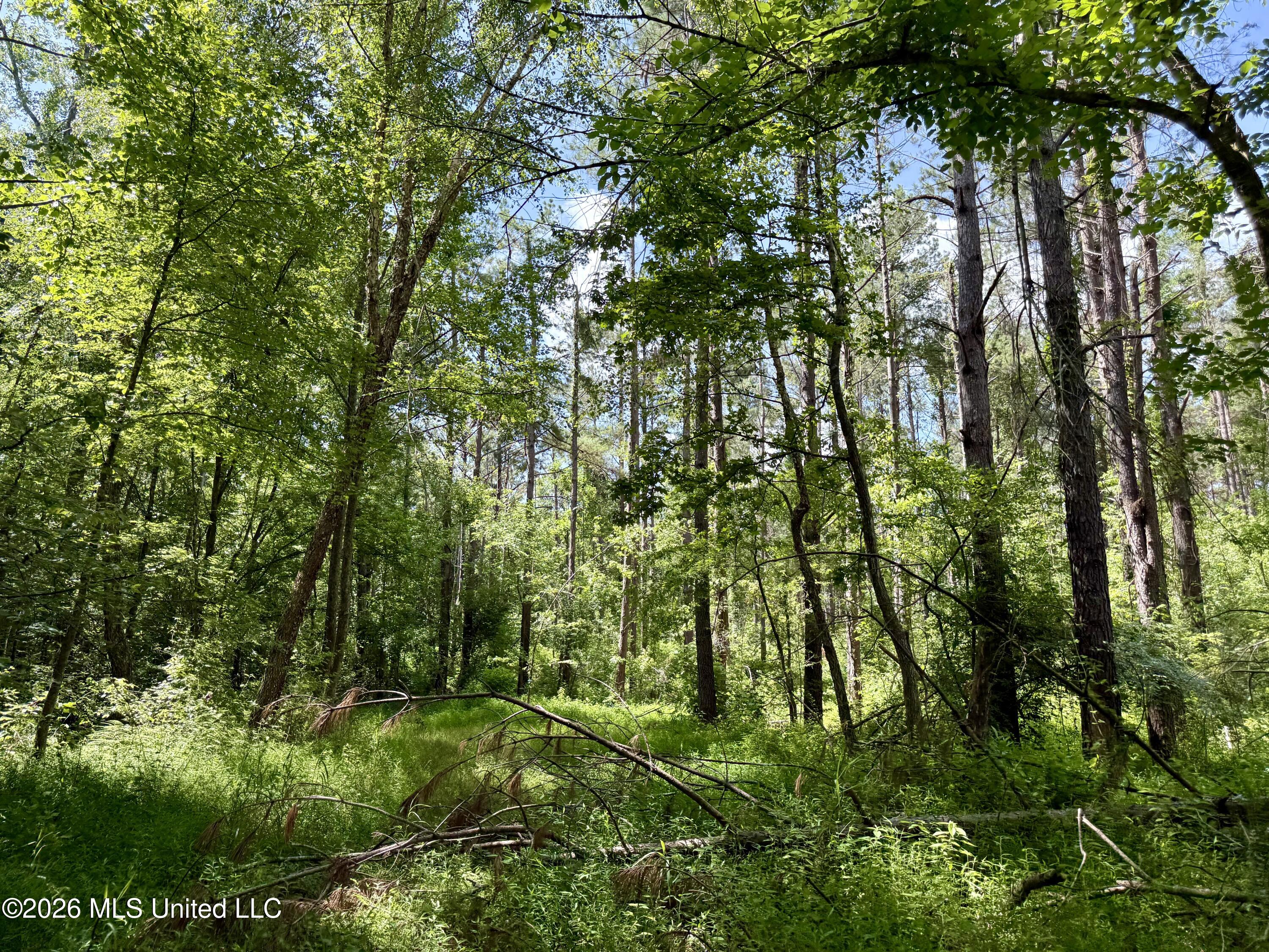 828 Little Egypt Road Property Photo 92