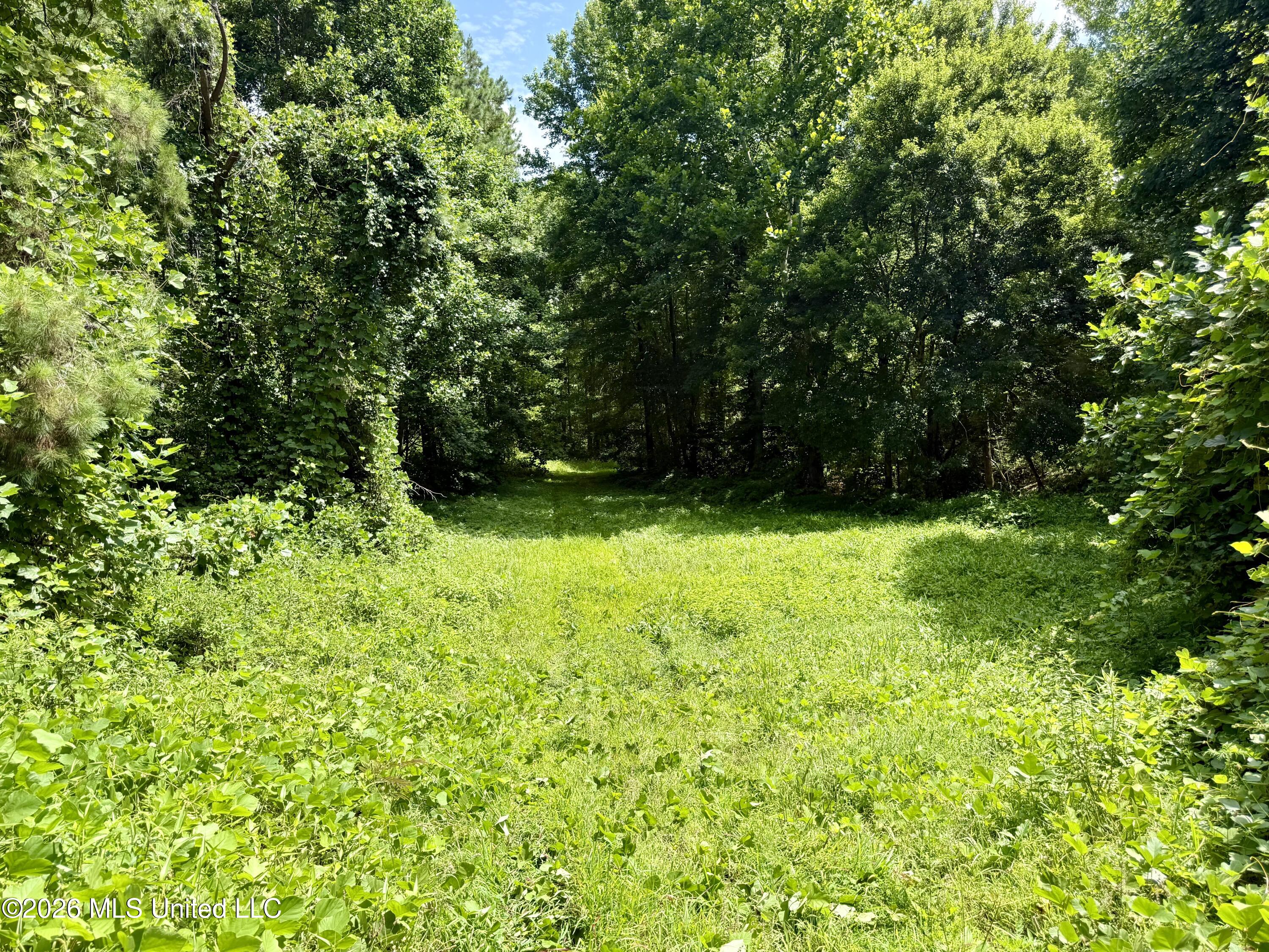 828 Little Egypt Road Property Photo 95
