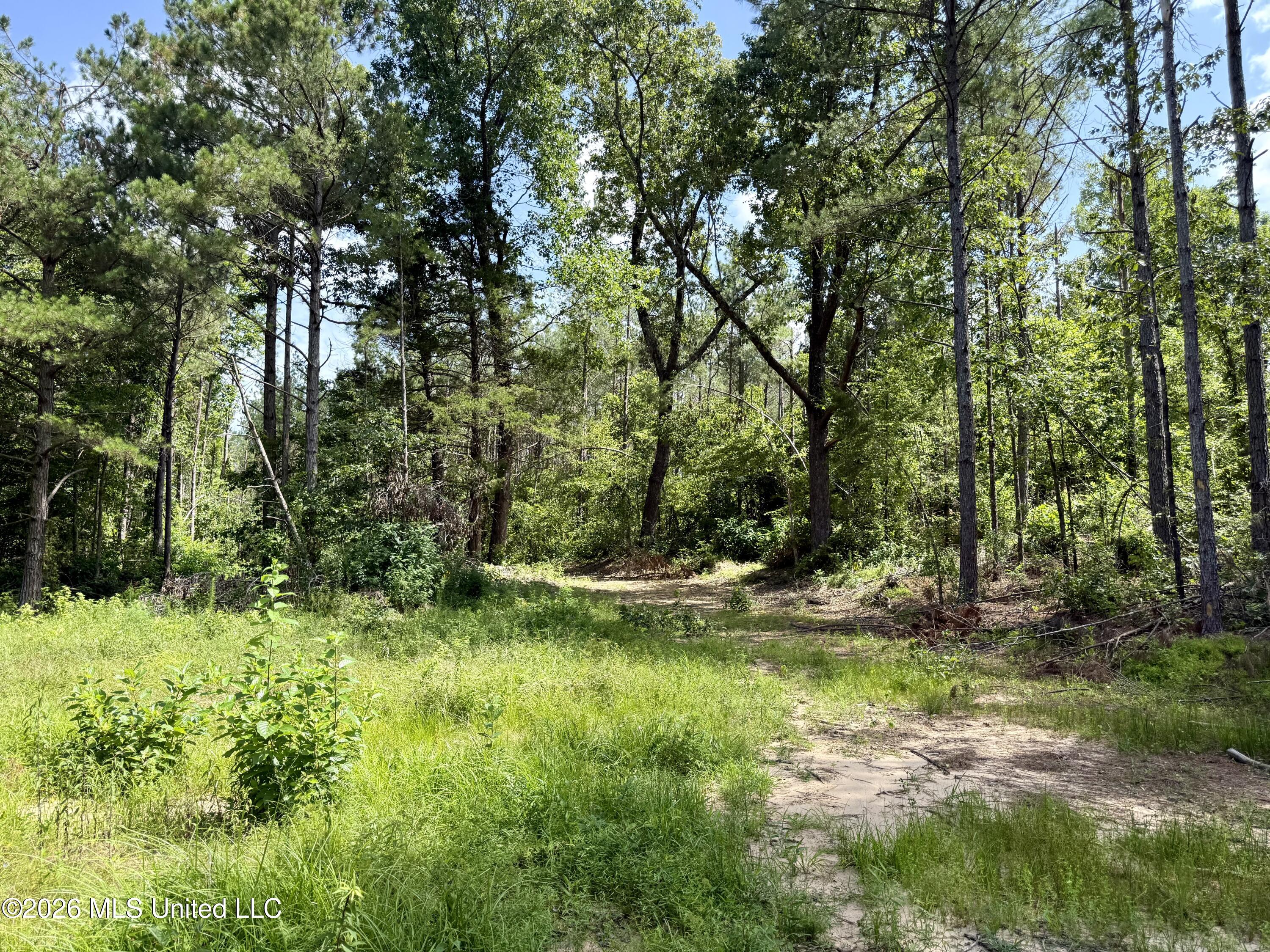 828 Little Egypt Road Property Photo 98