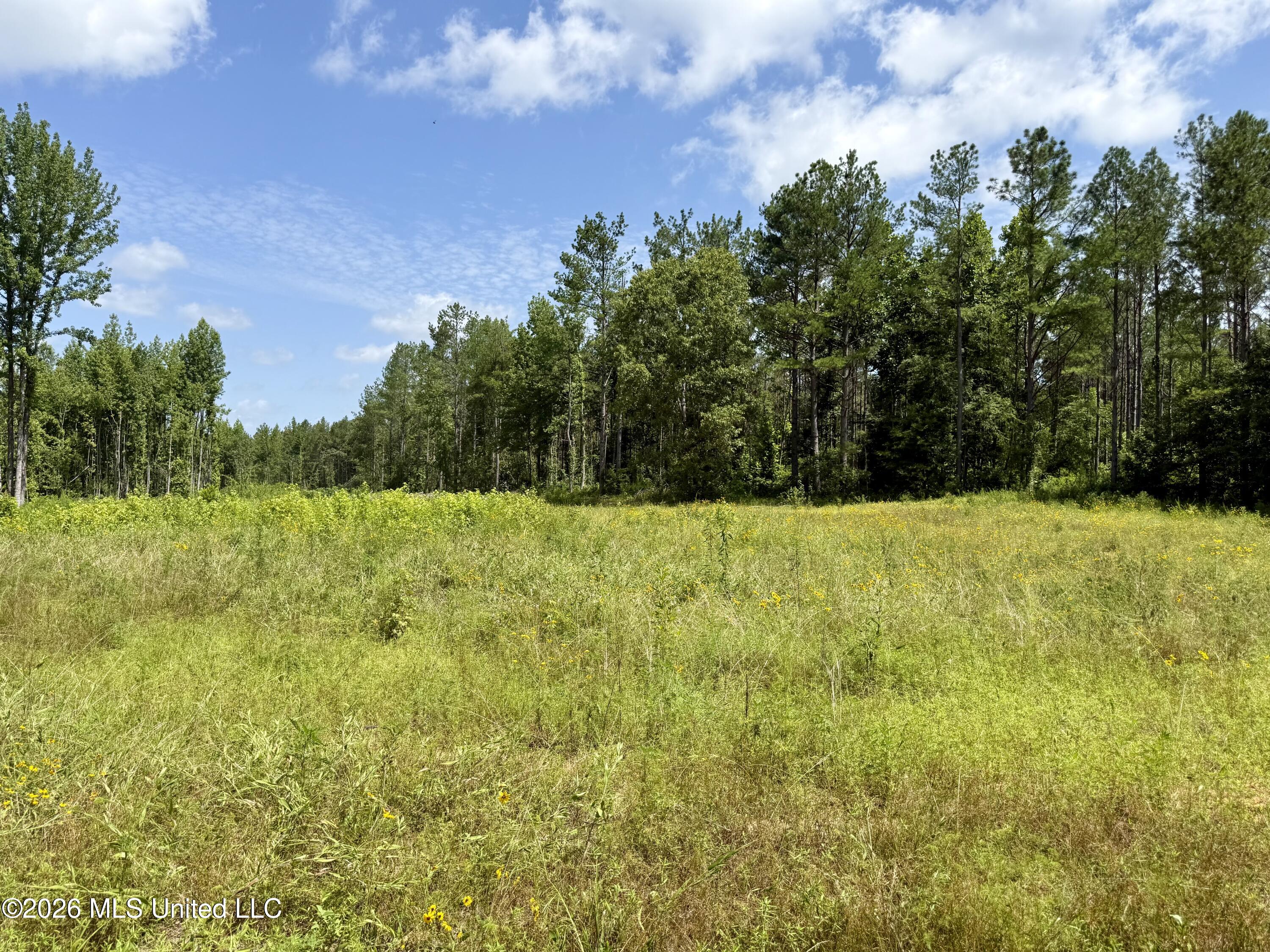 828 Little Egypt Road Property Photo 100