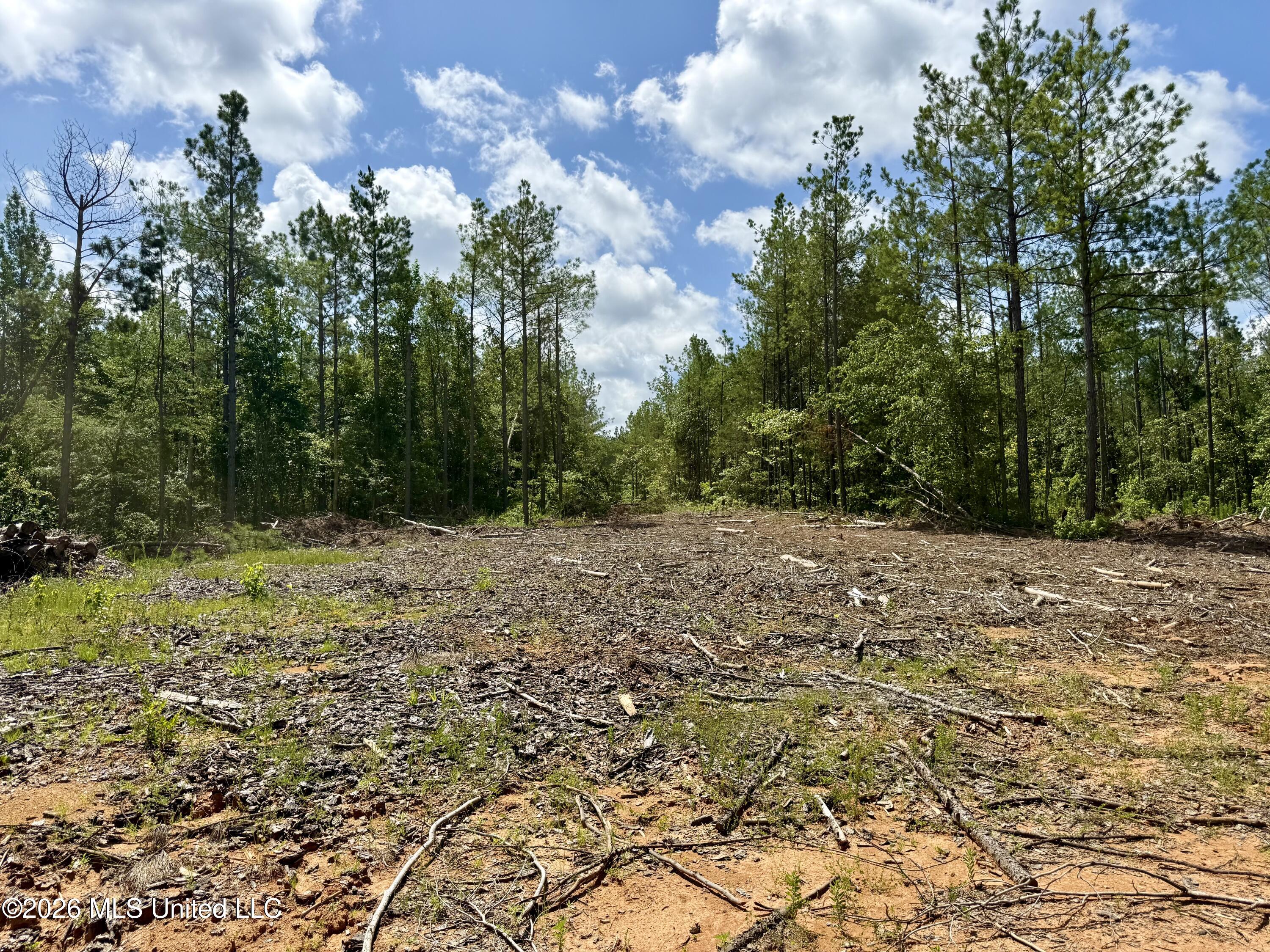 828 Little Egypt Road Property Photo 101