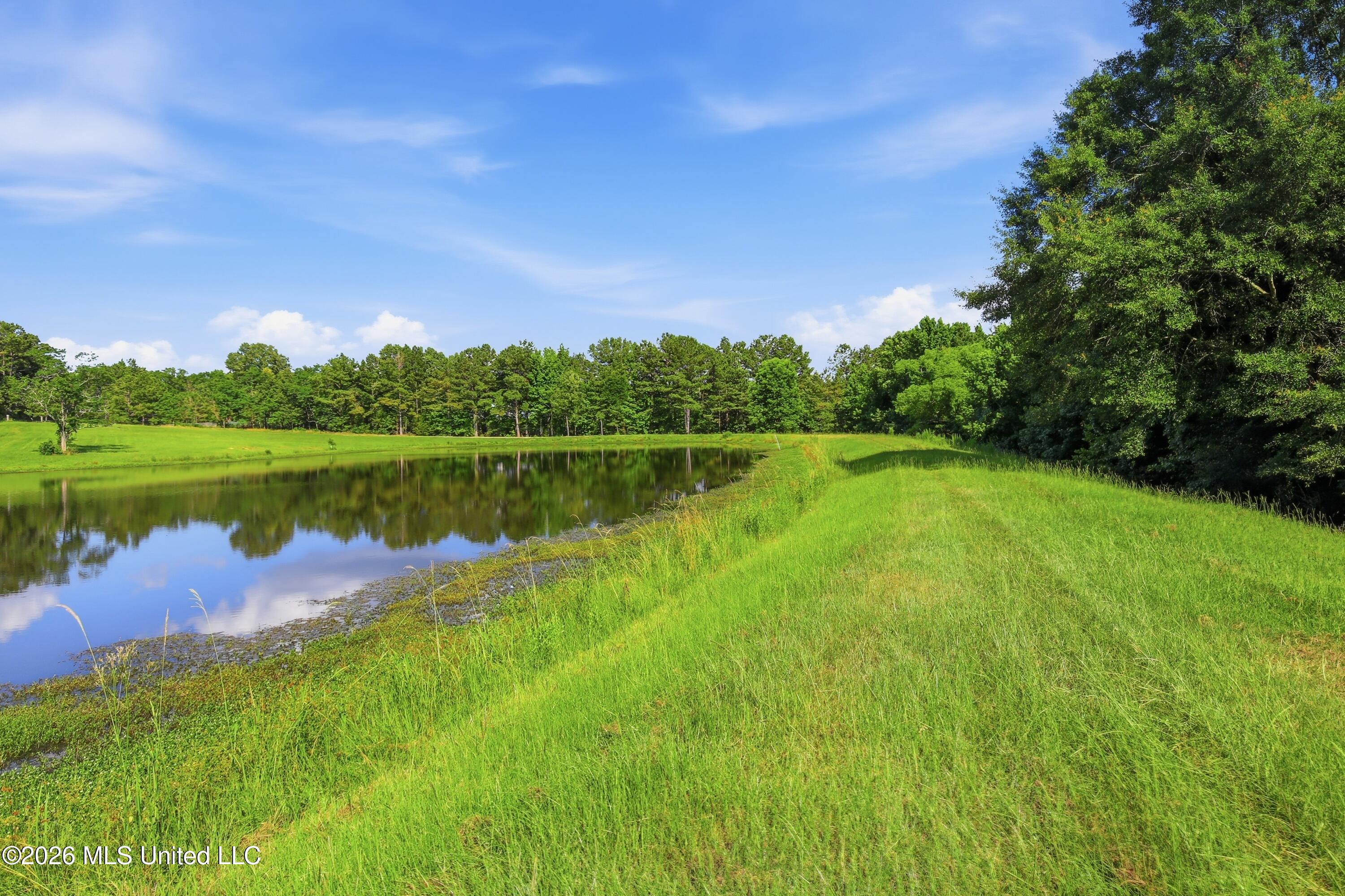 683 Cedar Hill Road Property Photo 4
