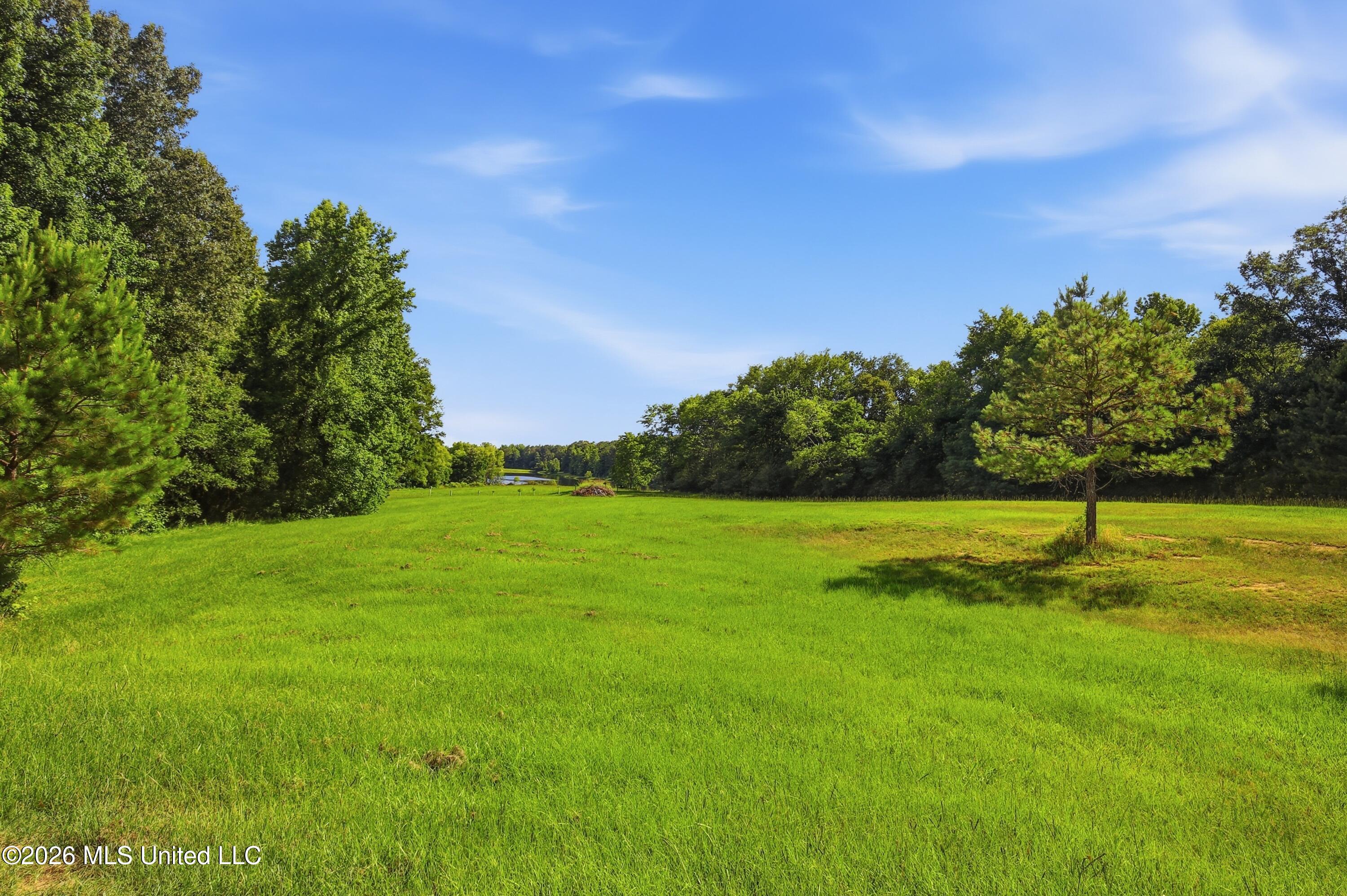 683 Cedar Hill Road Property Photo 5
