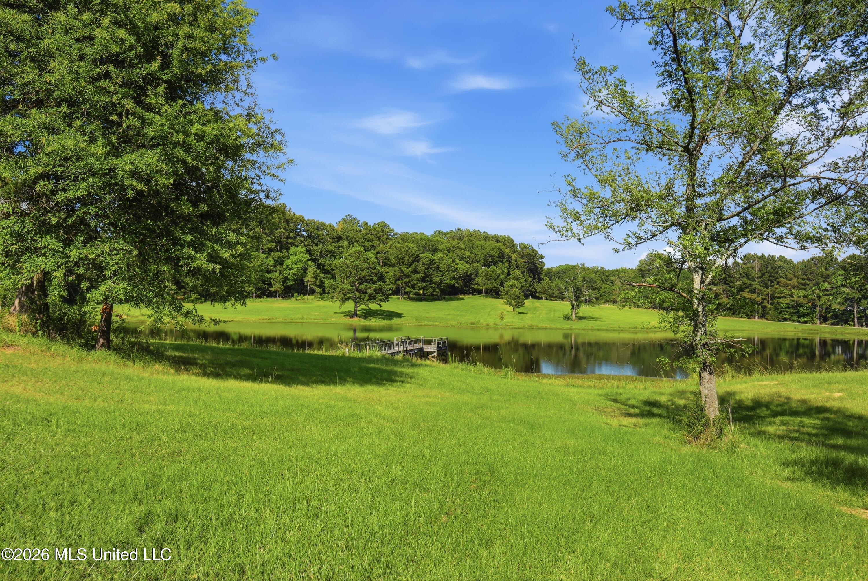 683 Cedar Hill Road Property Photo 6