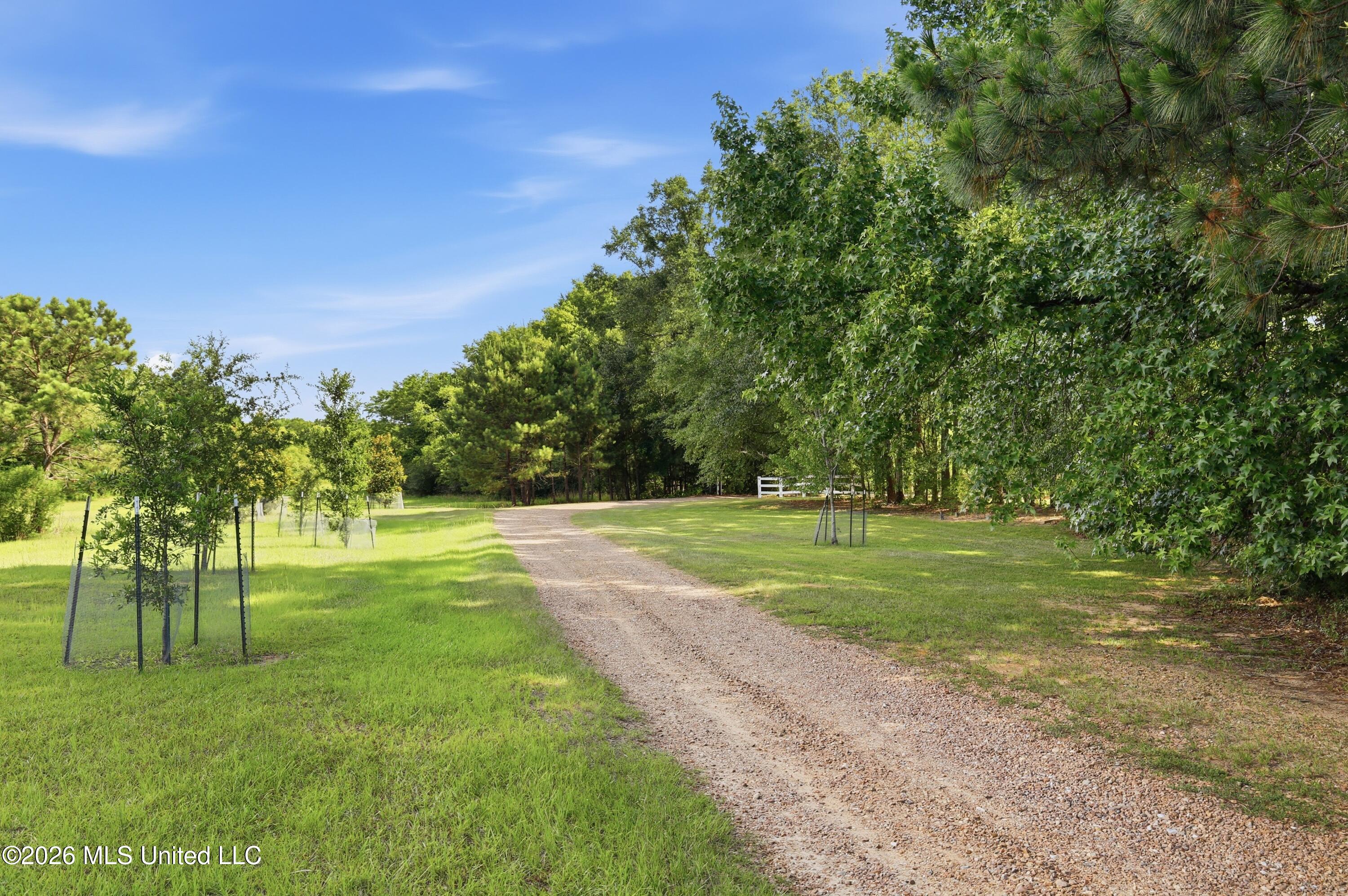 683 Cedar Hill Road Property Photo 7