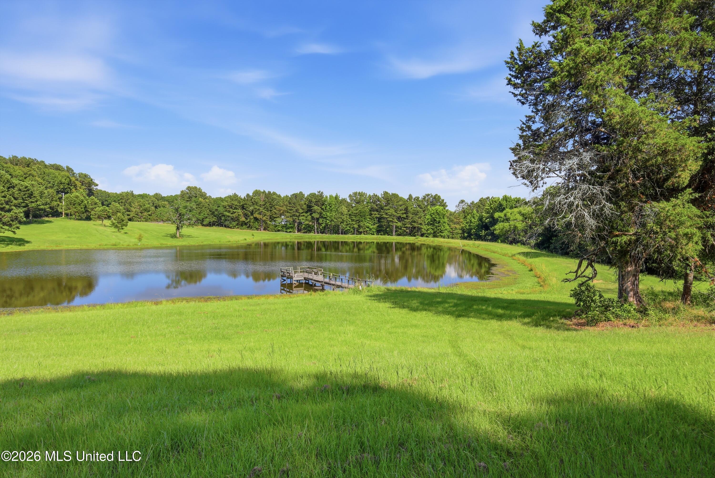 683 Cedar Hill Road Property Photo 8