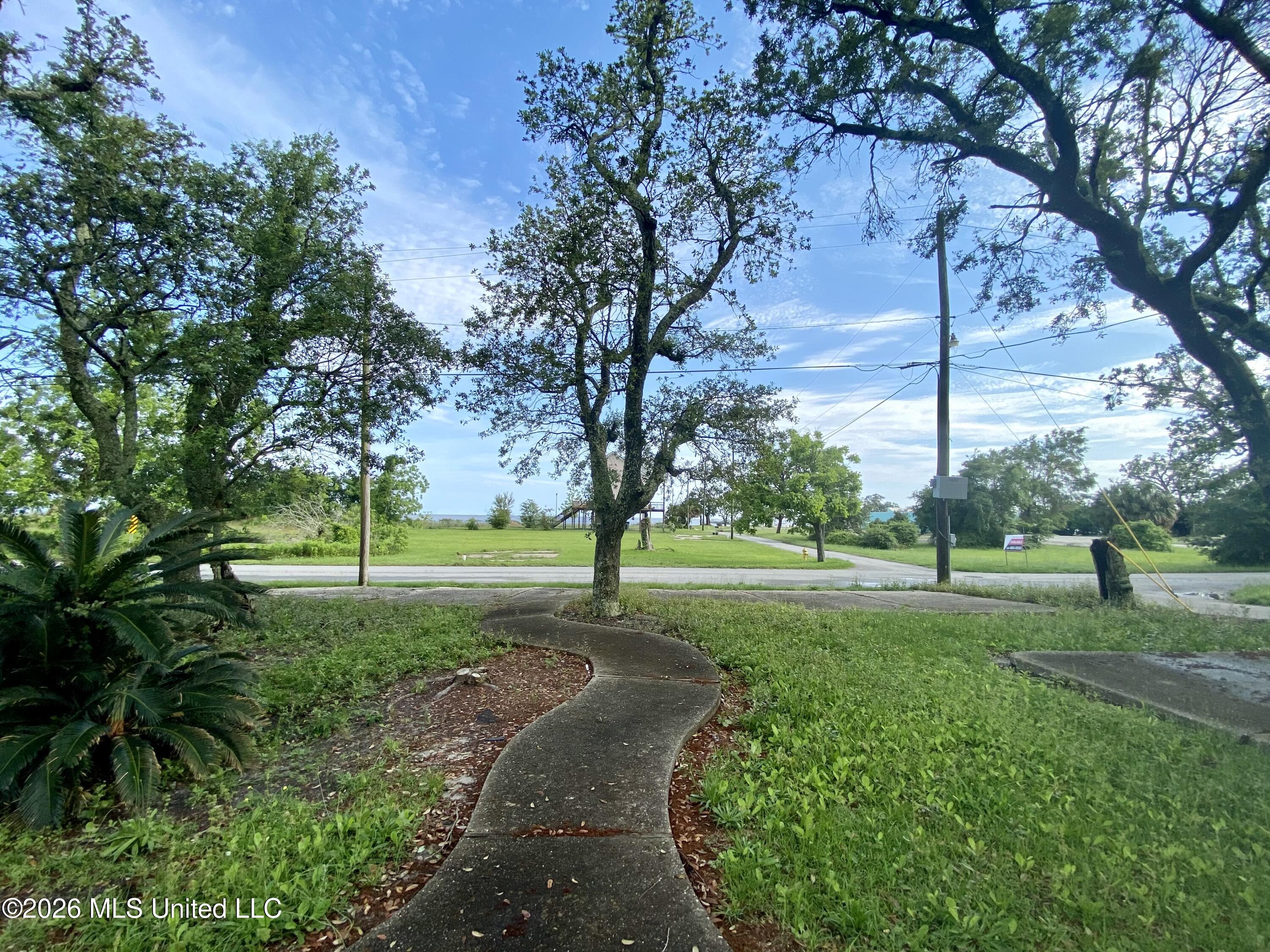 202 Palmetto Lane Property Photo 5