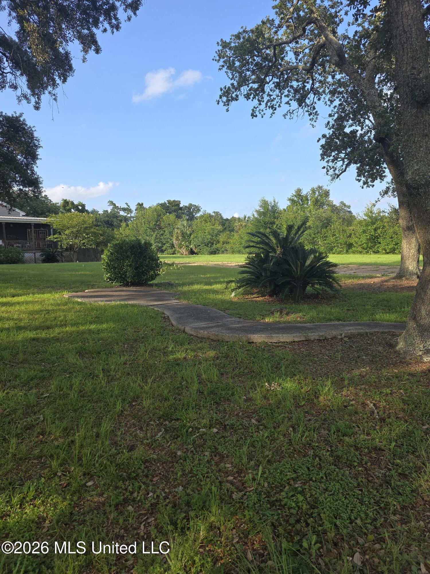 202 Palmetto Lane Property Photo 8