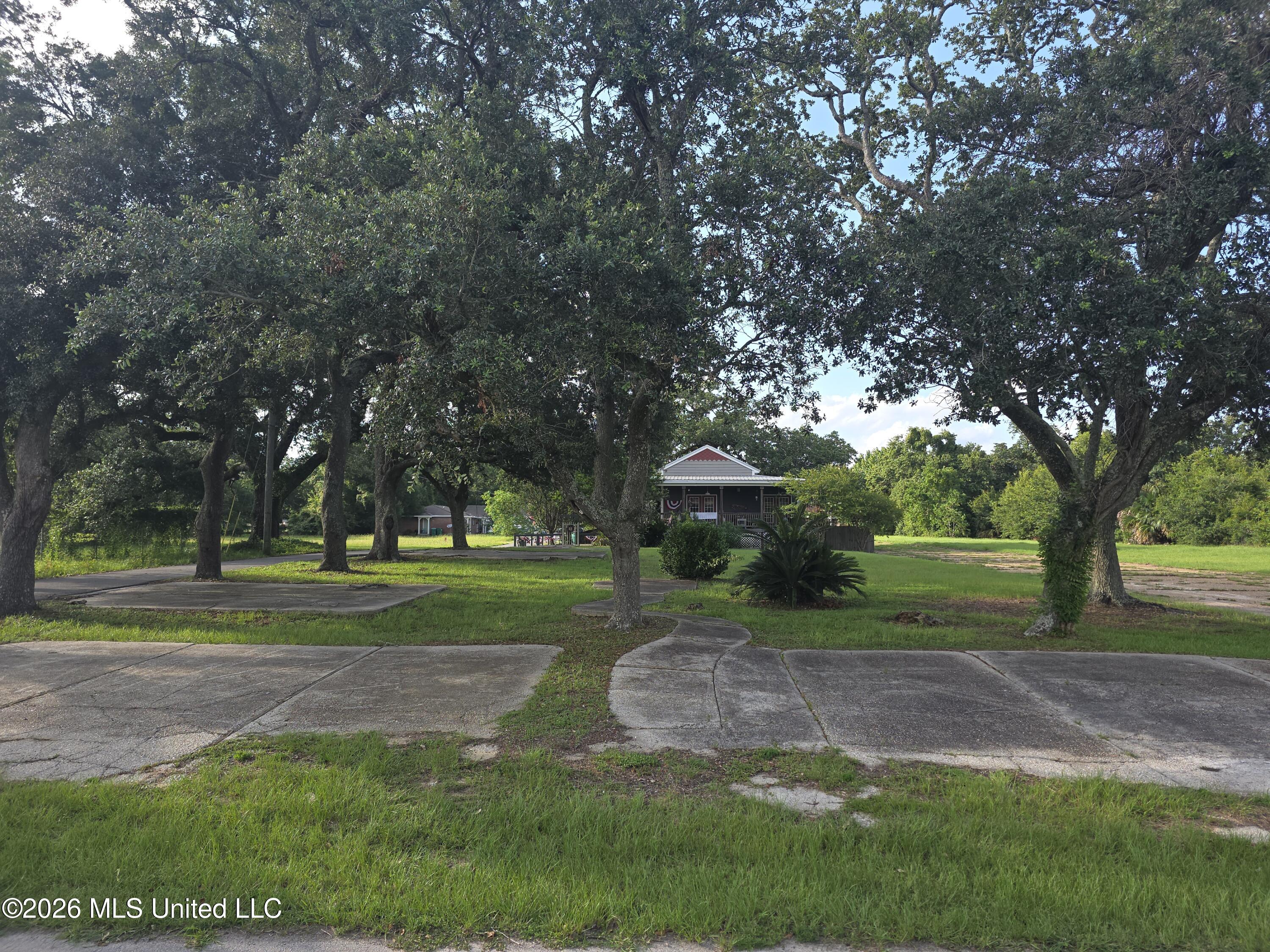 202 Palmetto Lane Property Photo 11
