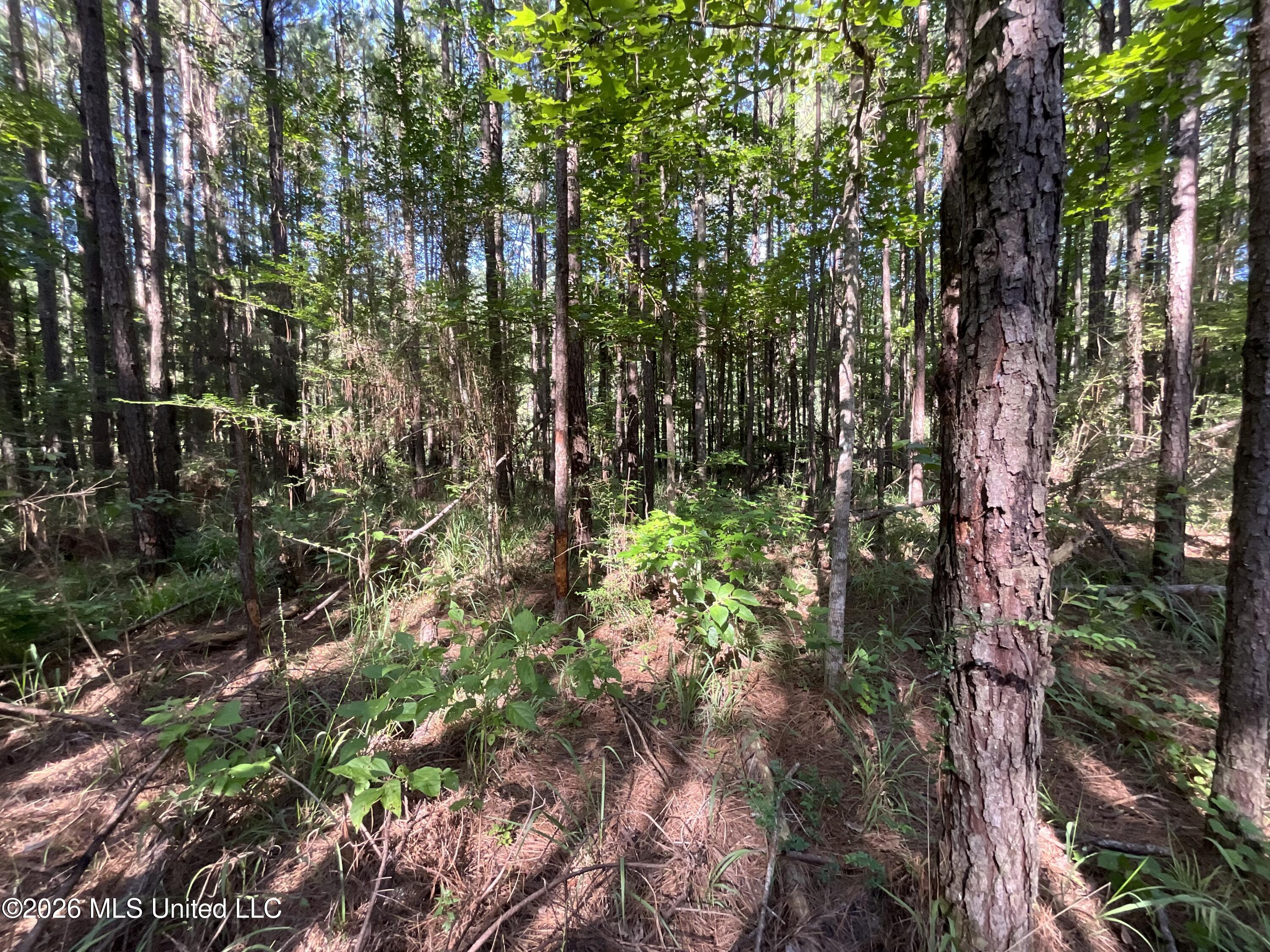 Tbd Fox Road Property Photo 3
