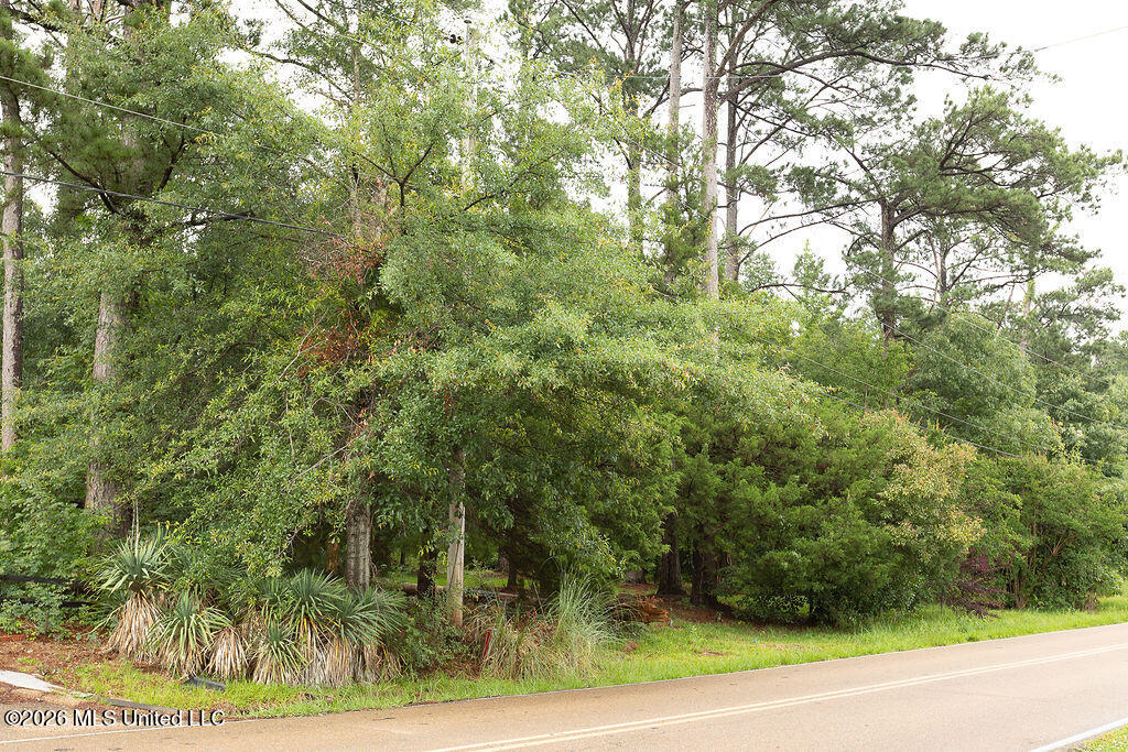 6450 Manship Road Property Photo 7