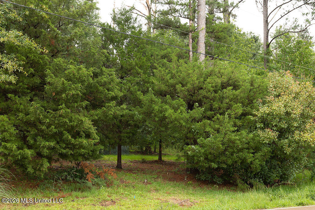 6450 Manship Road Property Photo 9