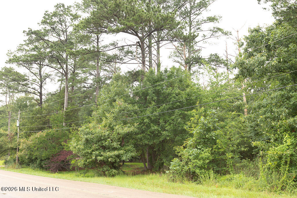 6450 Manship Road Property Photo 10