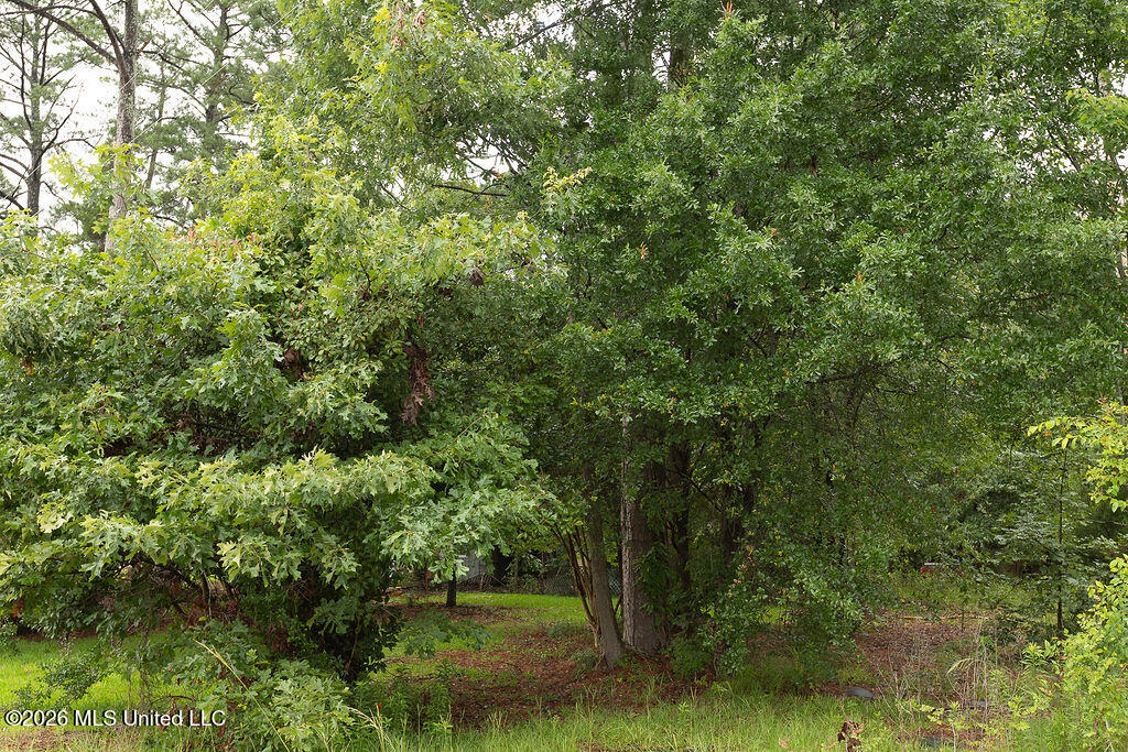 6450 Manship Road Property Photo 11