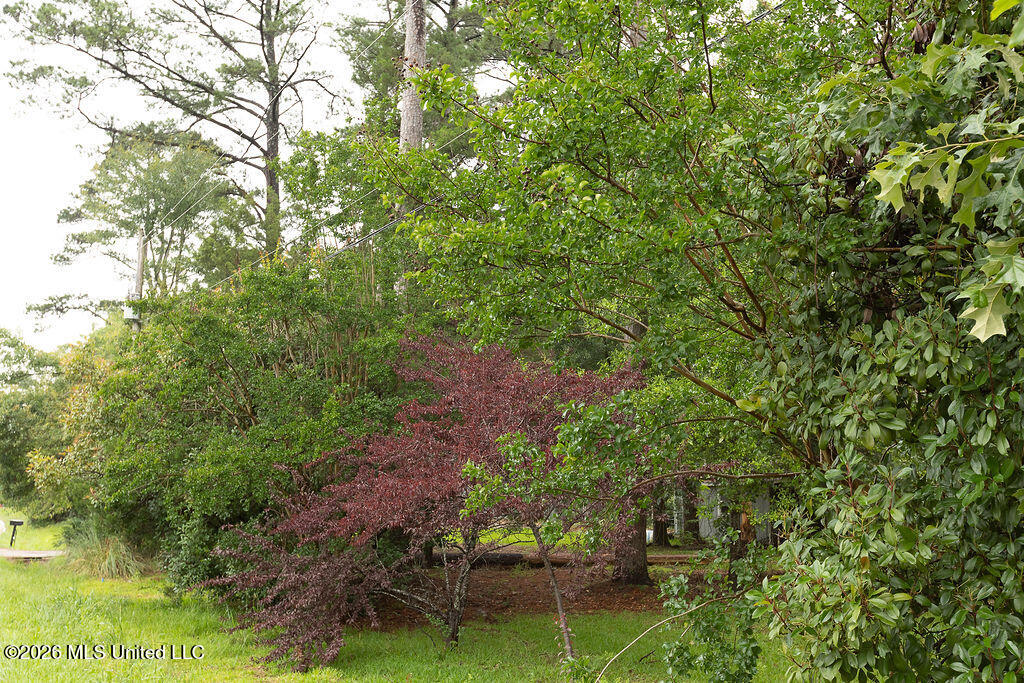 6450 Manship Road Property Photo 12