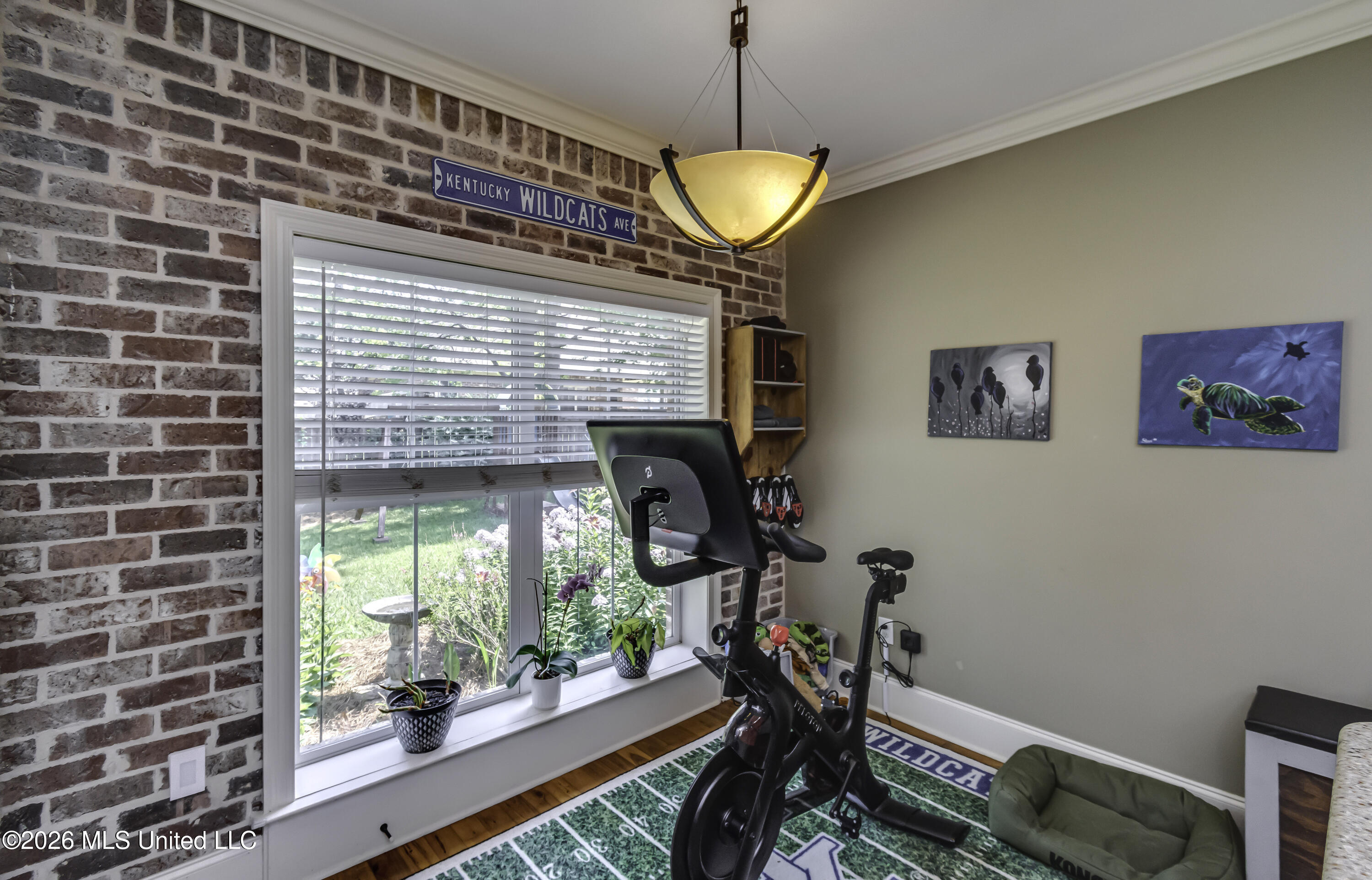 113 Turtle Ridge Drive Property Photo 27
