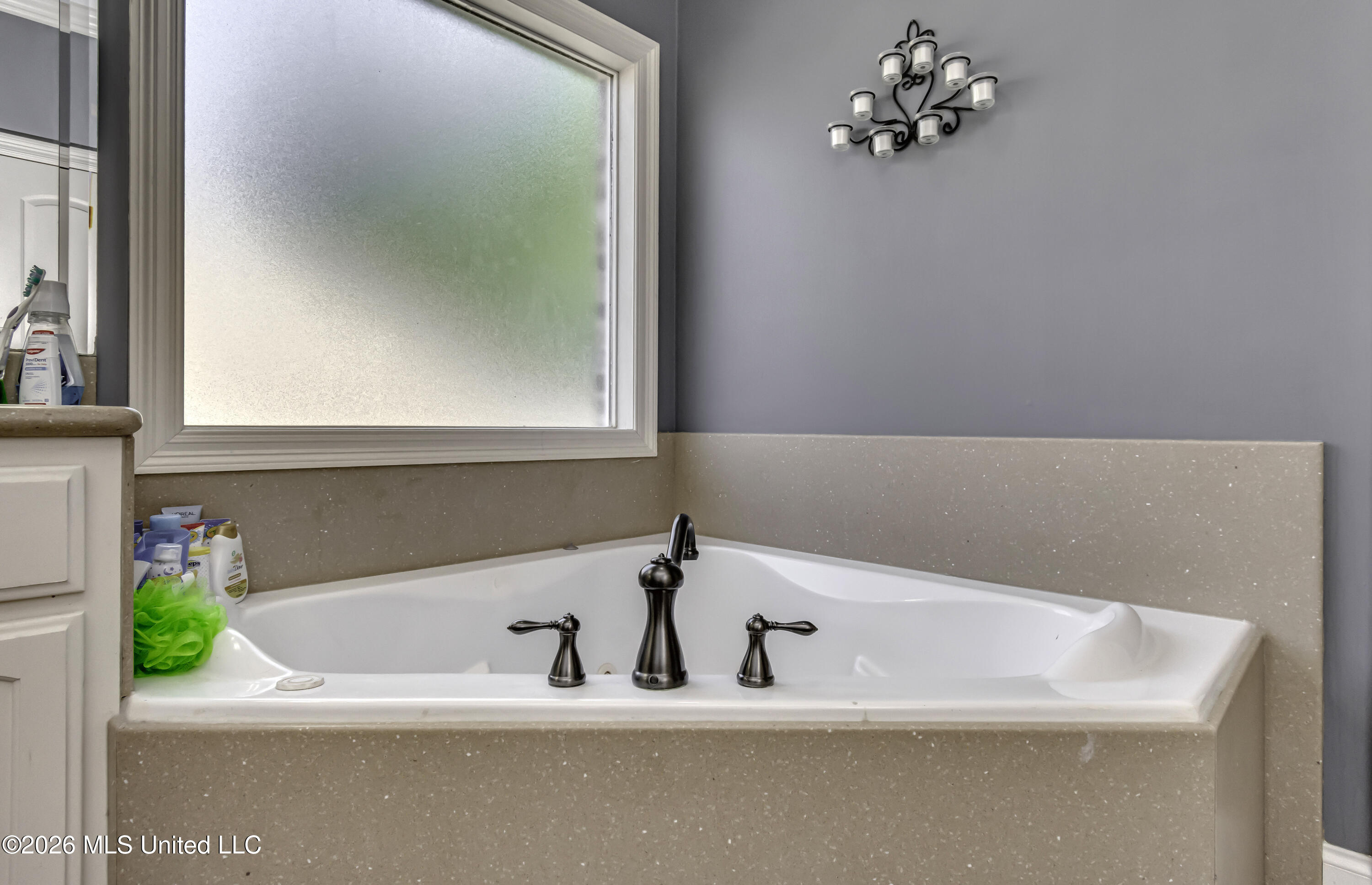 113 Turtle Ridge Drive Property Photo 39
