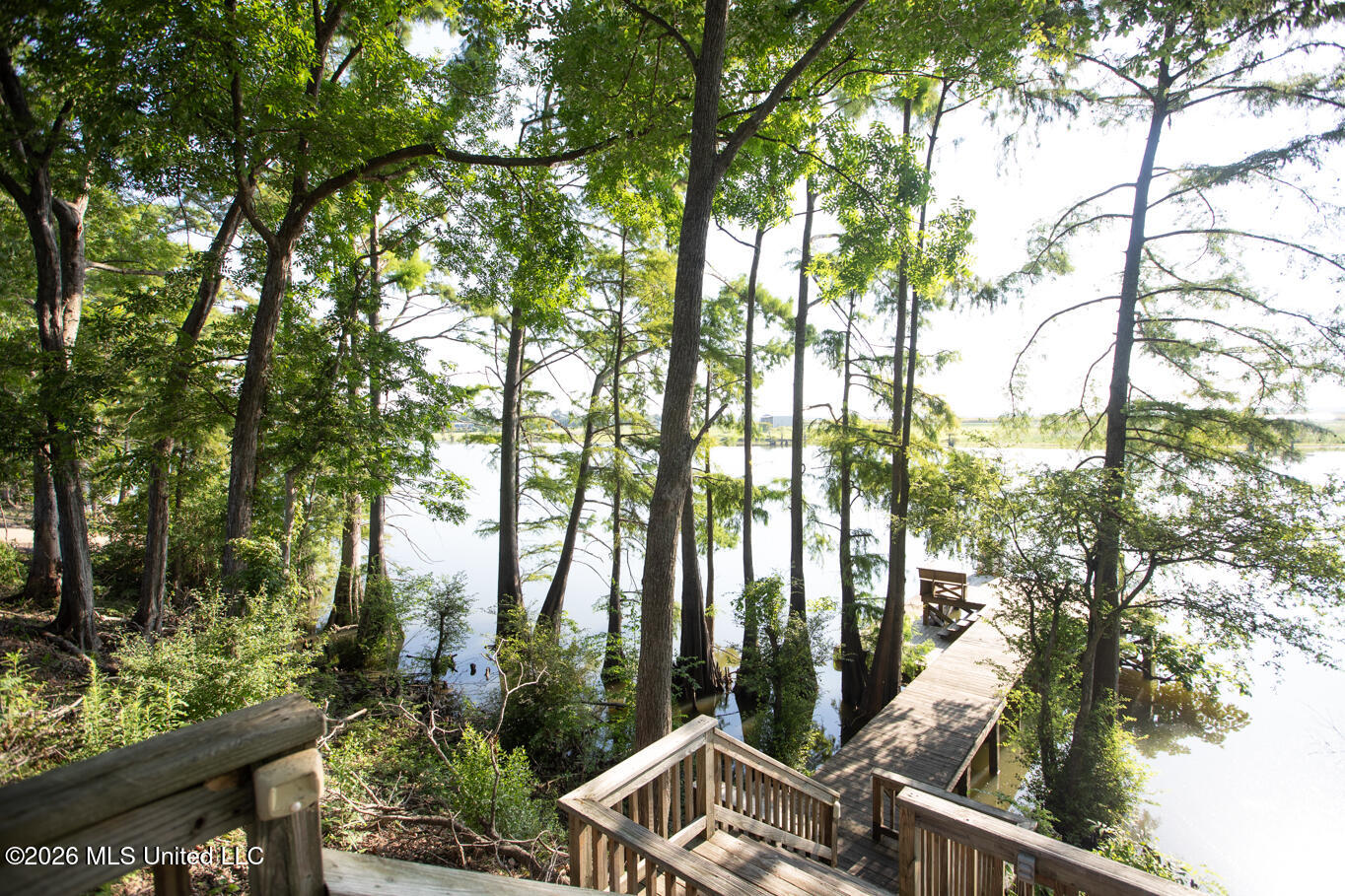 2021 Jrv Brown Road Property Photo 39